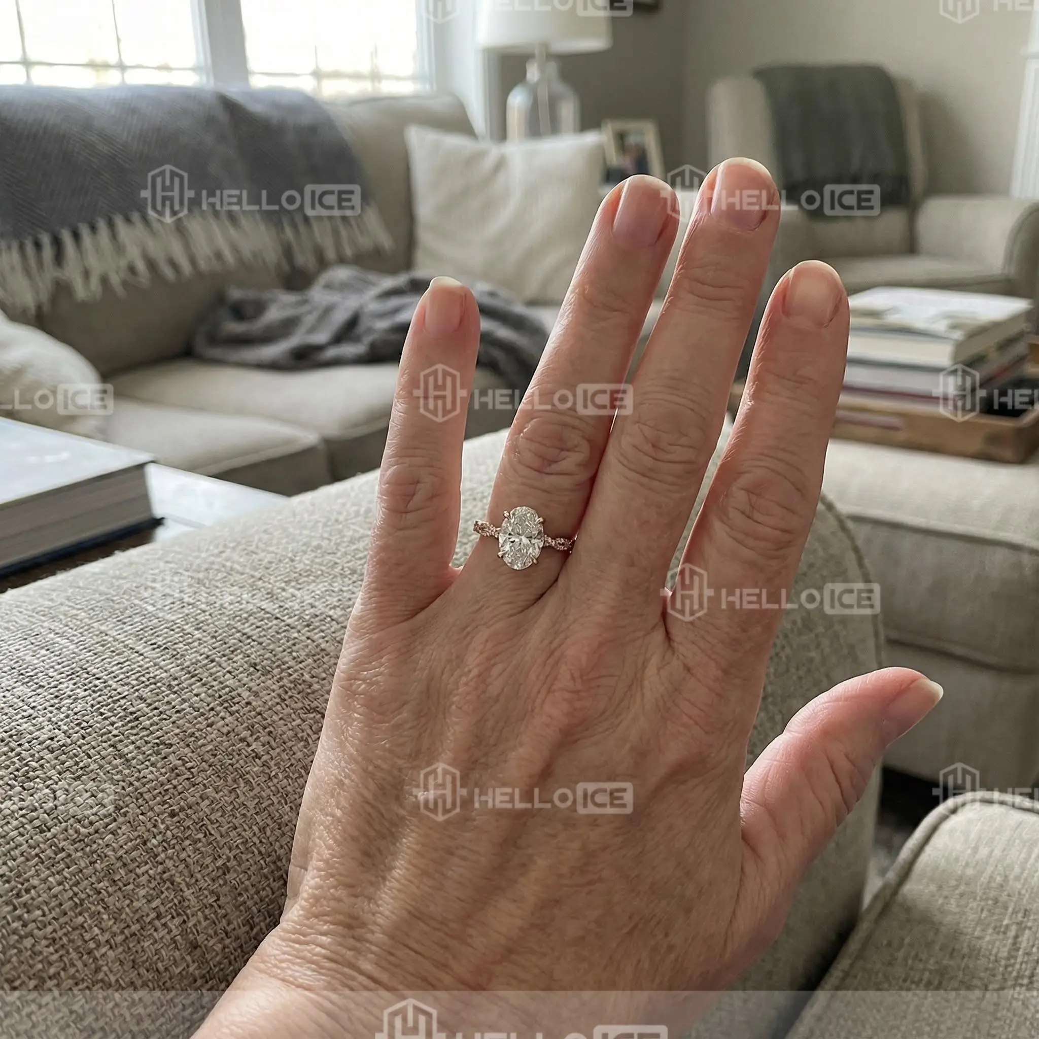 Helloice Review Image