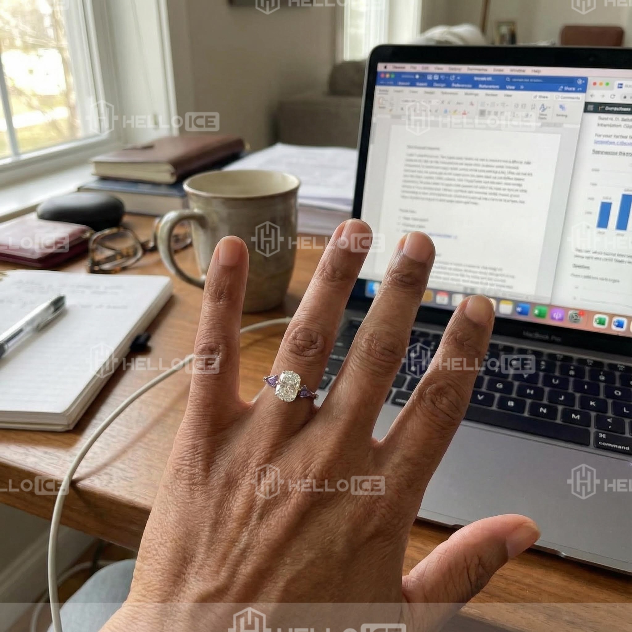 Helloice Review Image