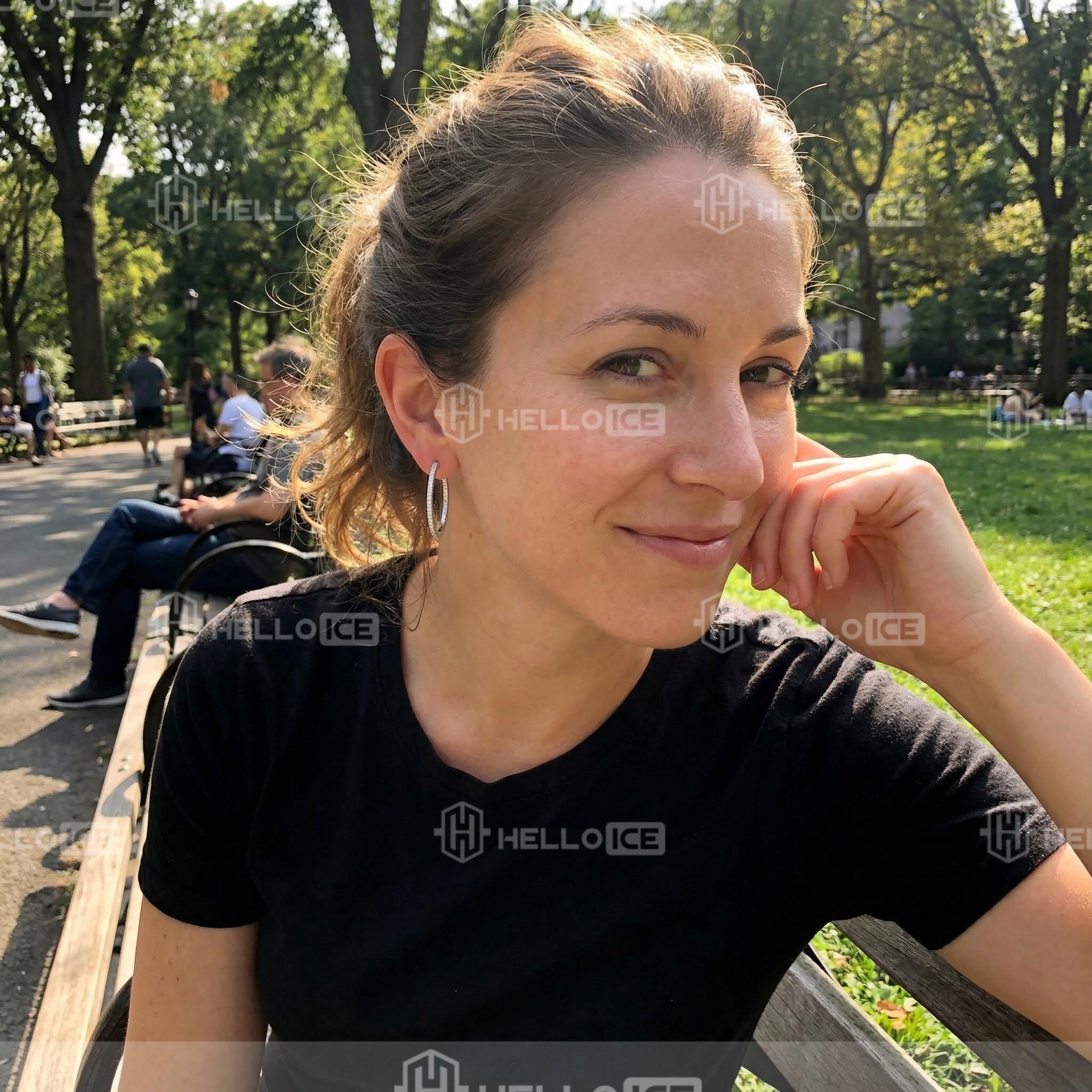 Helloice Review Image