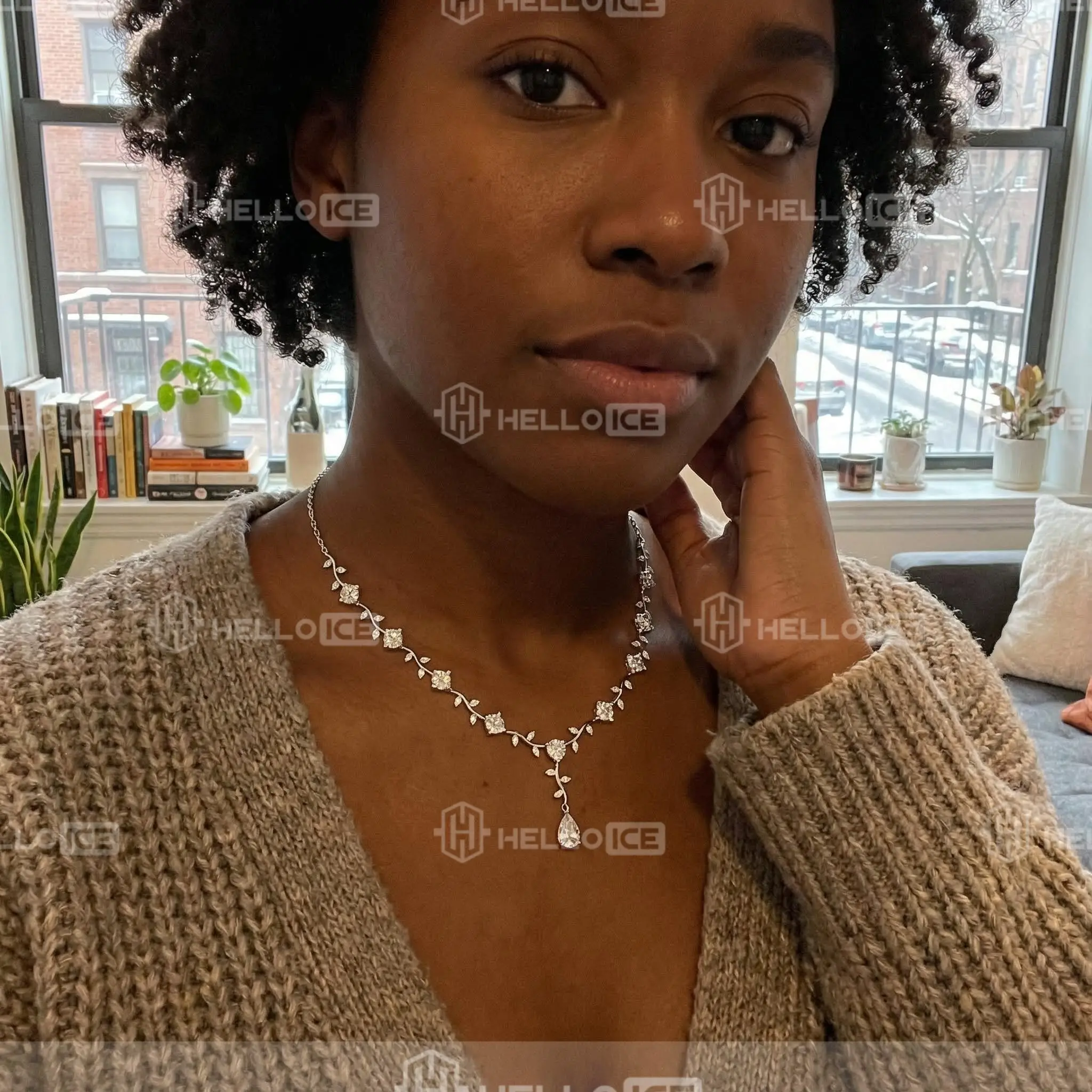 Helloice Review Image