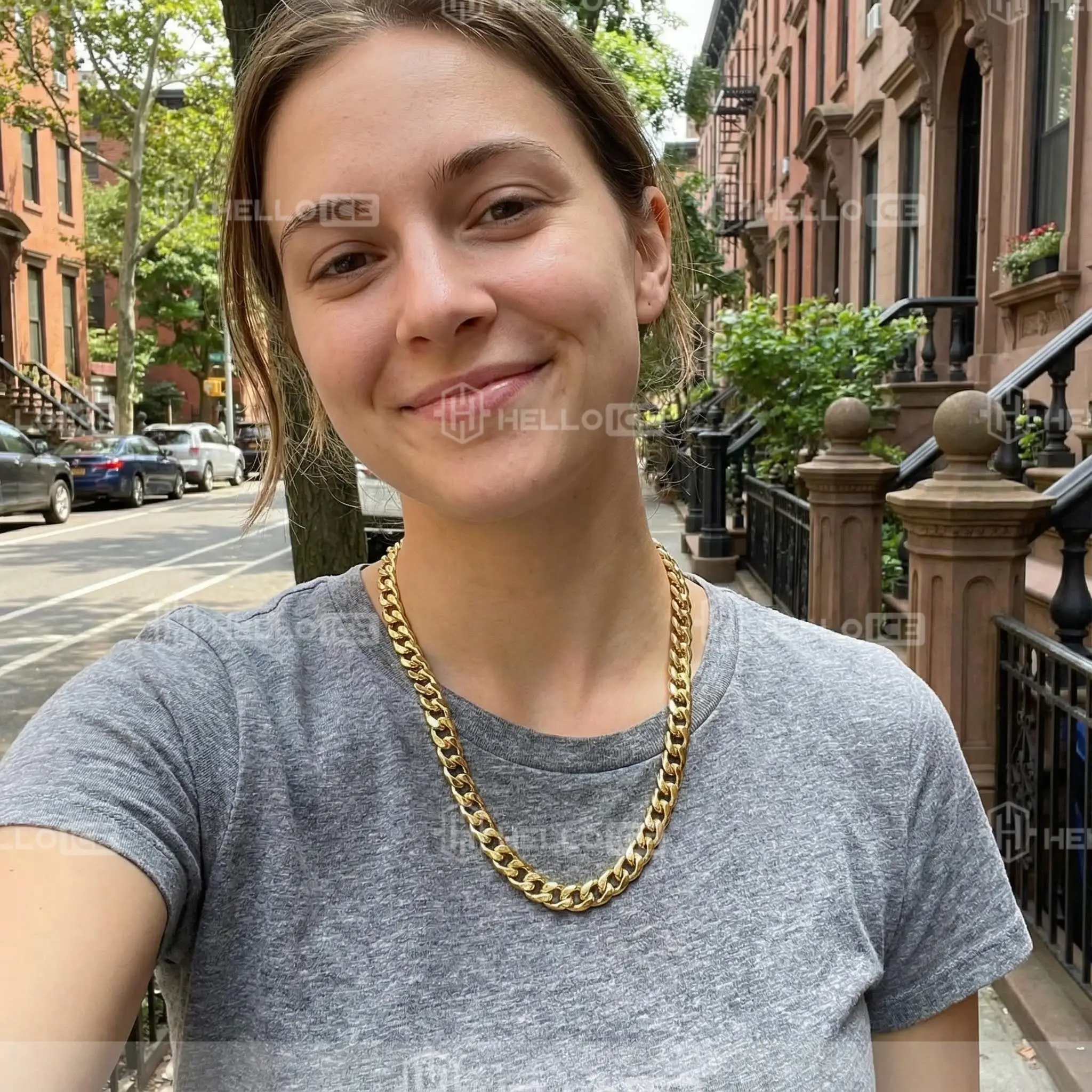 Helloice Review Image