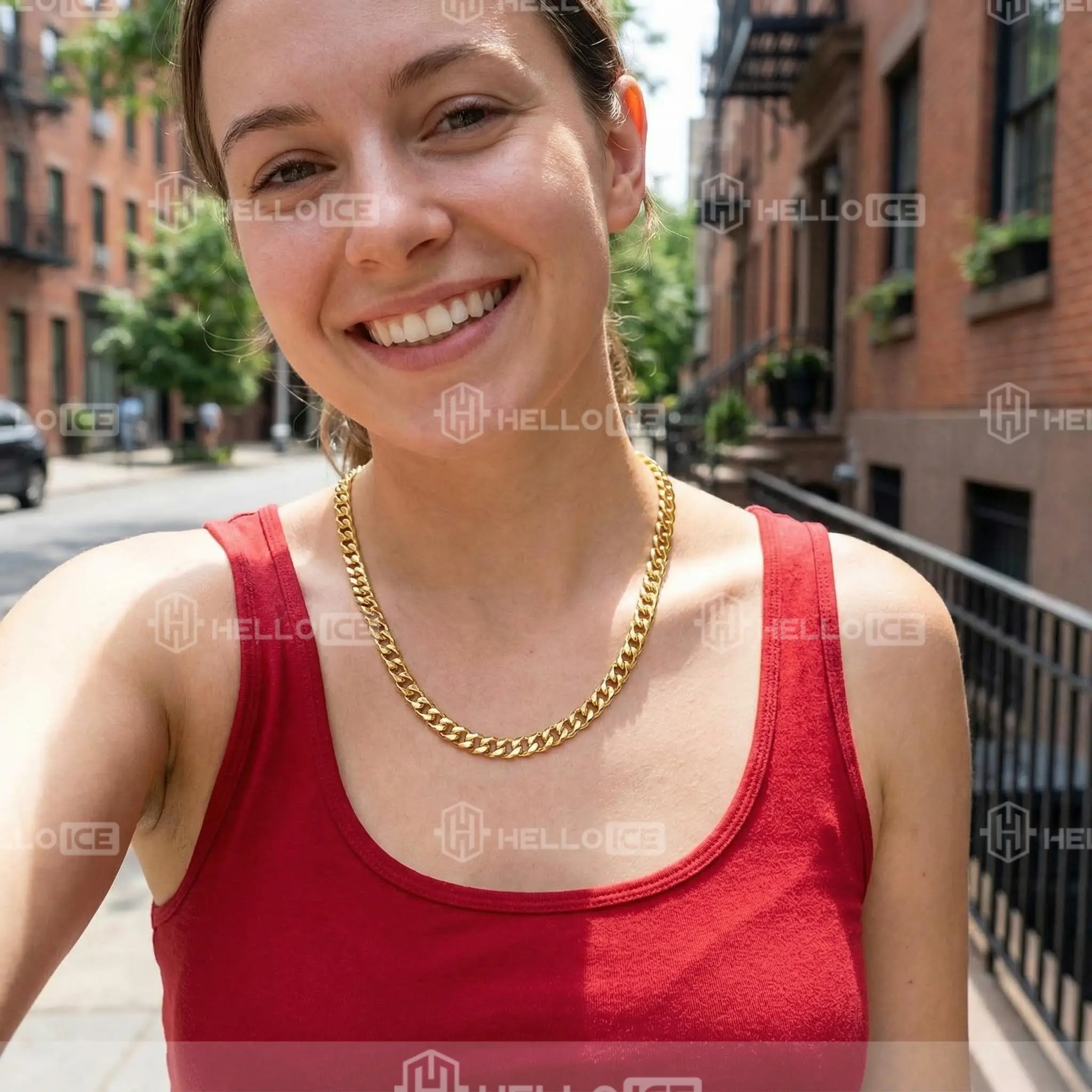 Helloice Review Image