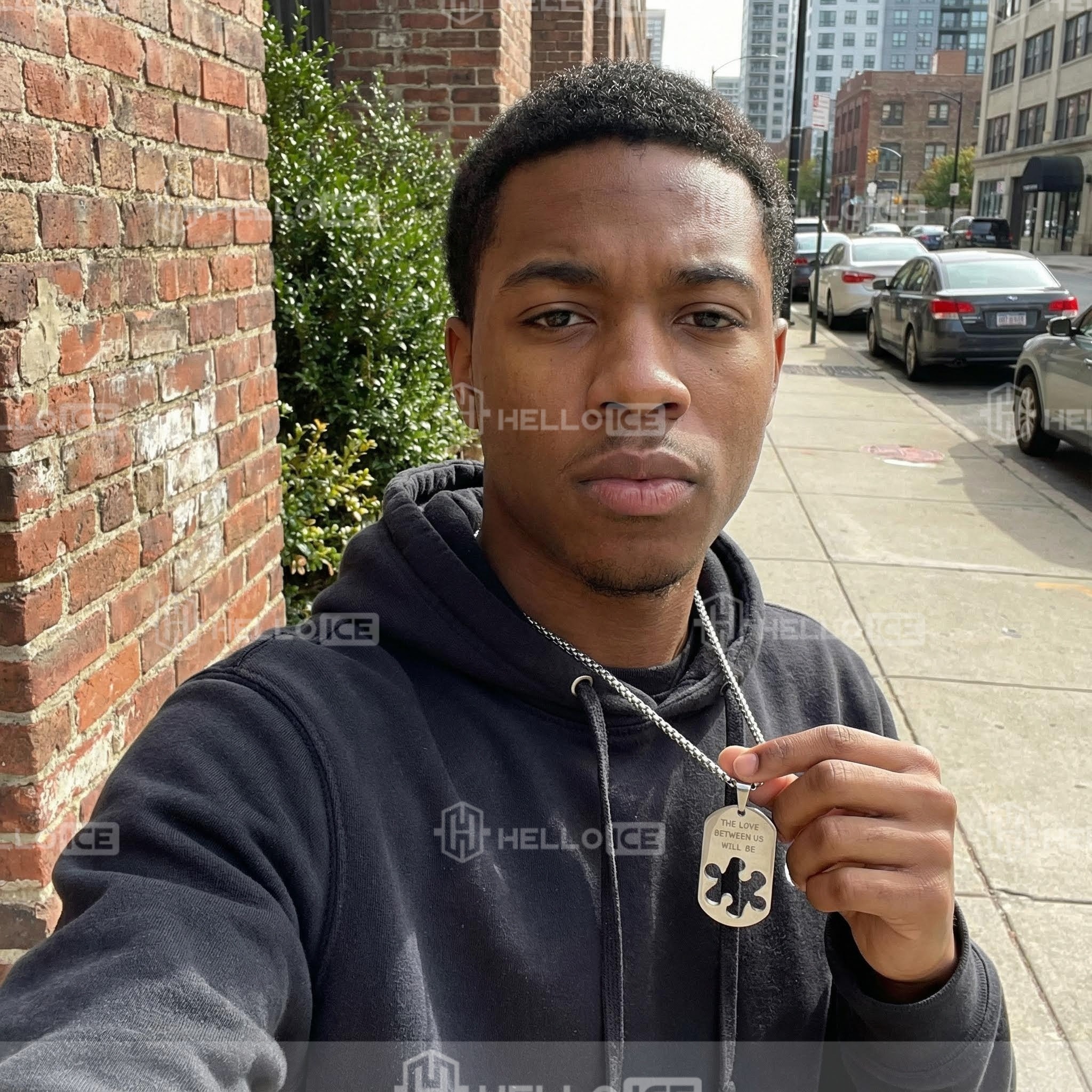 Helloice Review Image