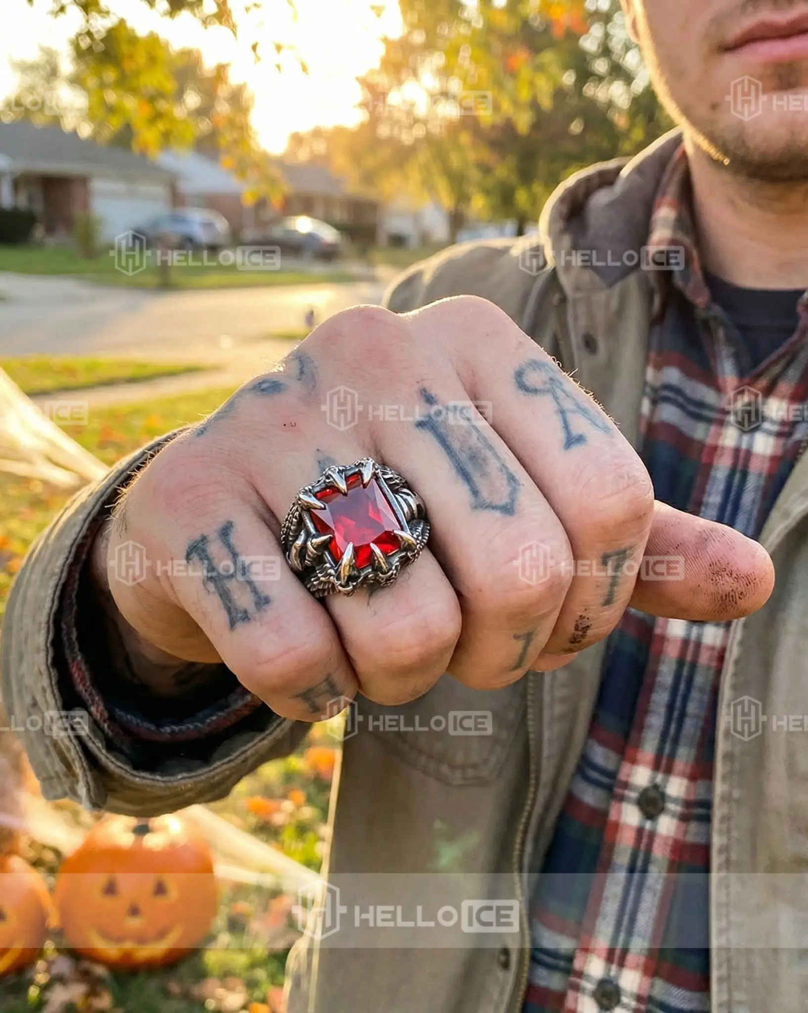 Helloice Review Image