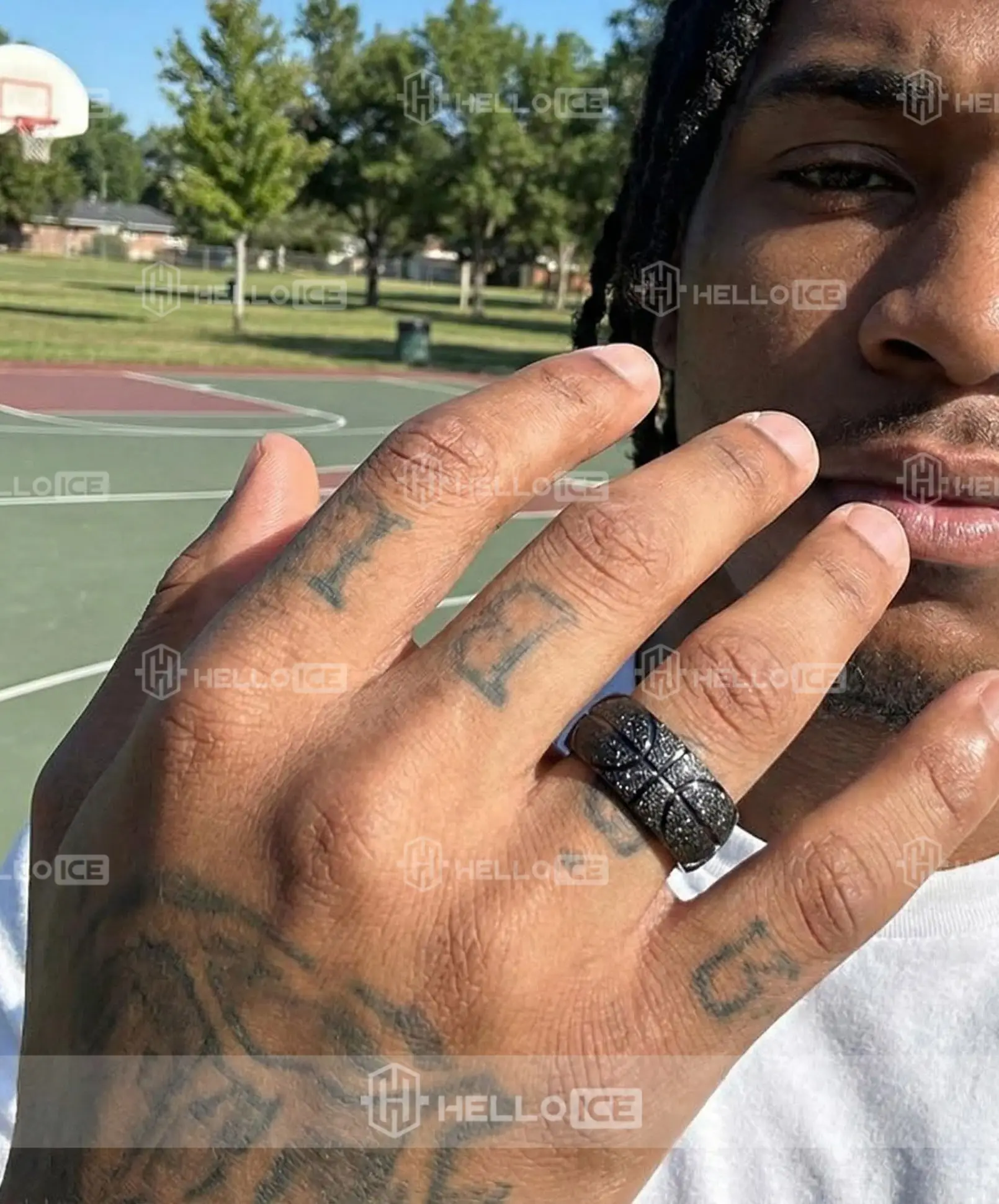 Helloice Review Image