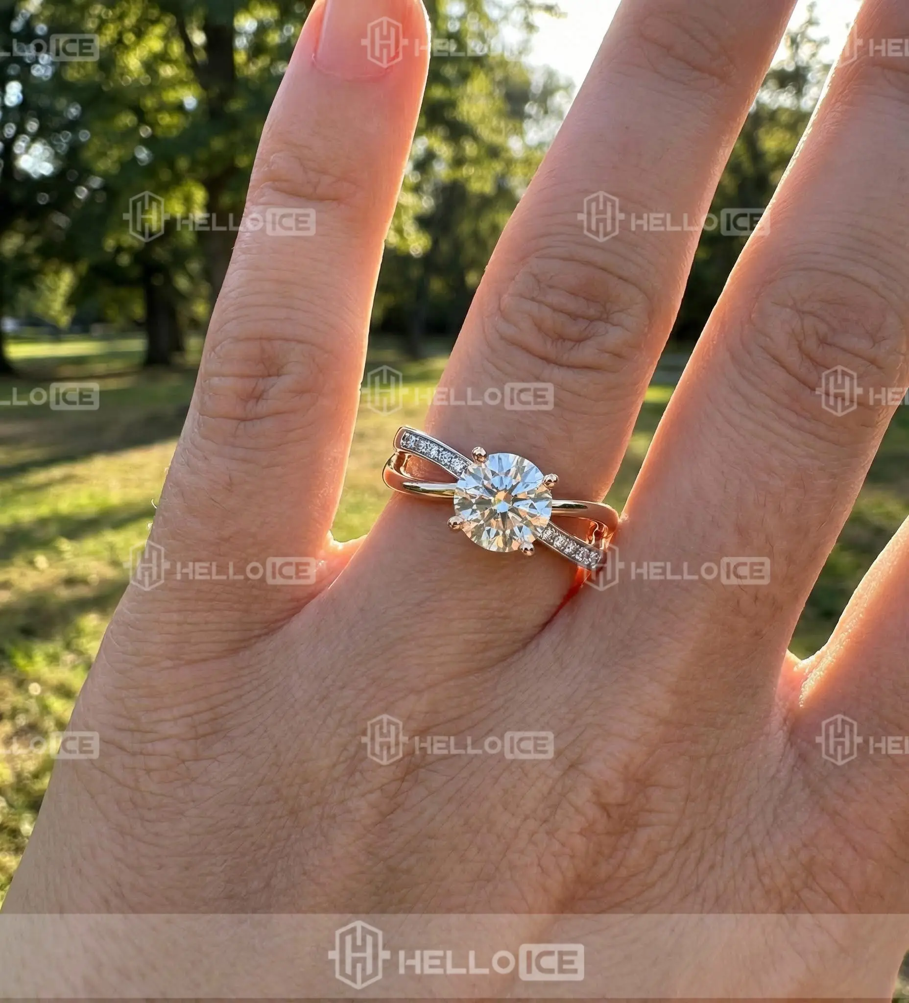 Helloice Review Image