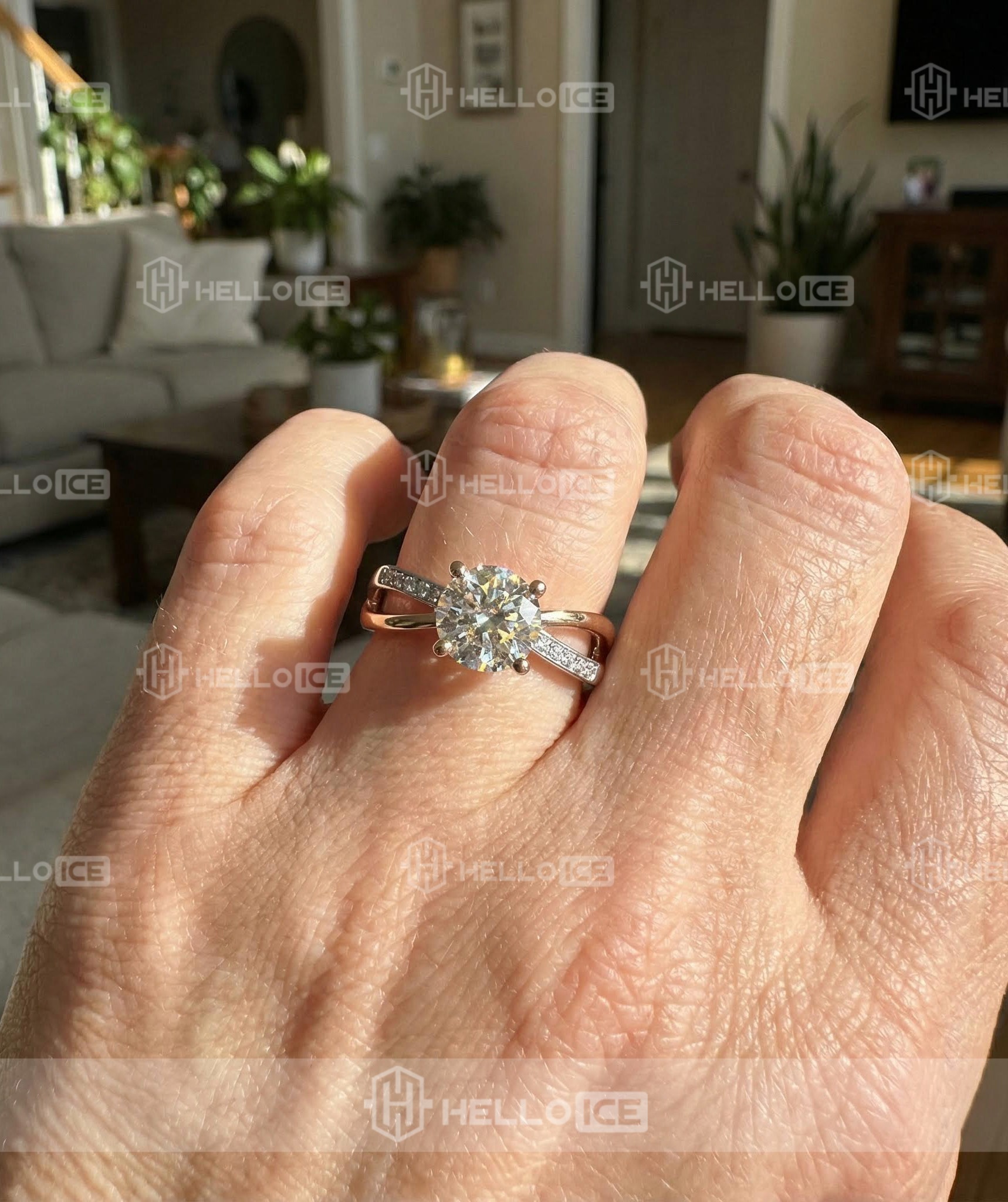 Helloice Review Image