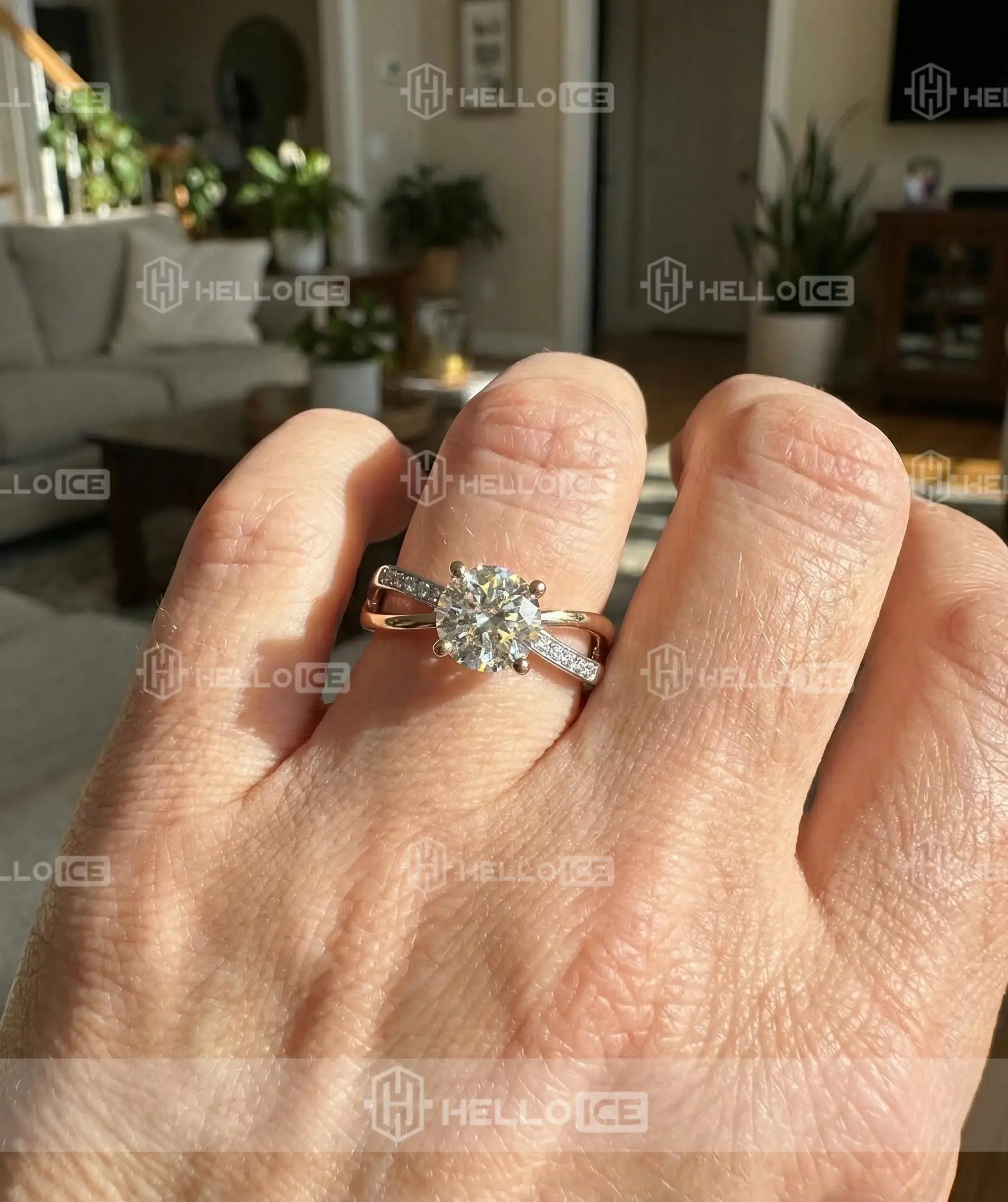 Helloice Review Image