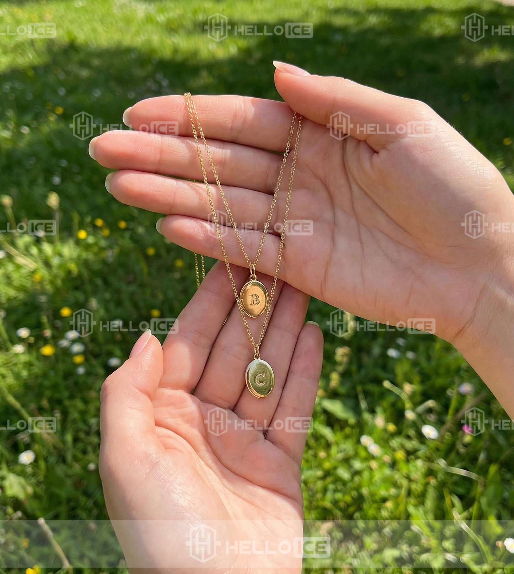 Helloice Review Image