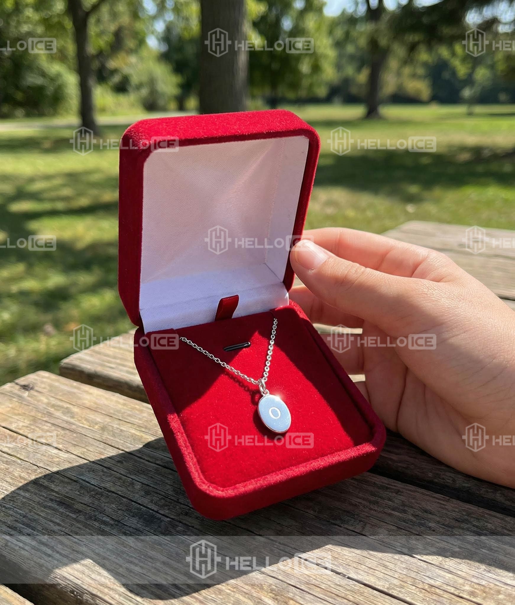 Helloice Review Image