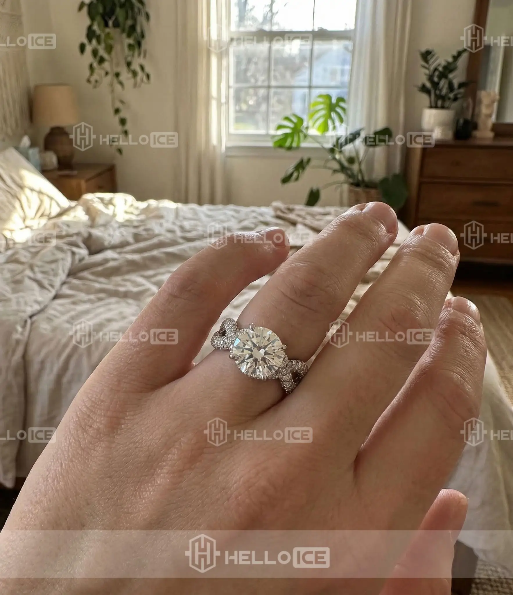 Helloice Review Image