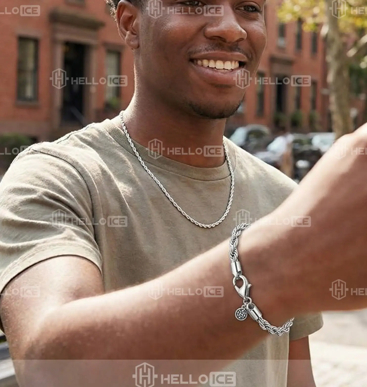 Helloice Review Image