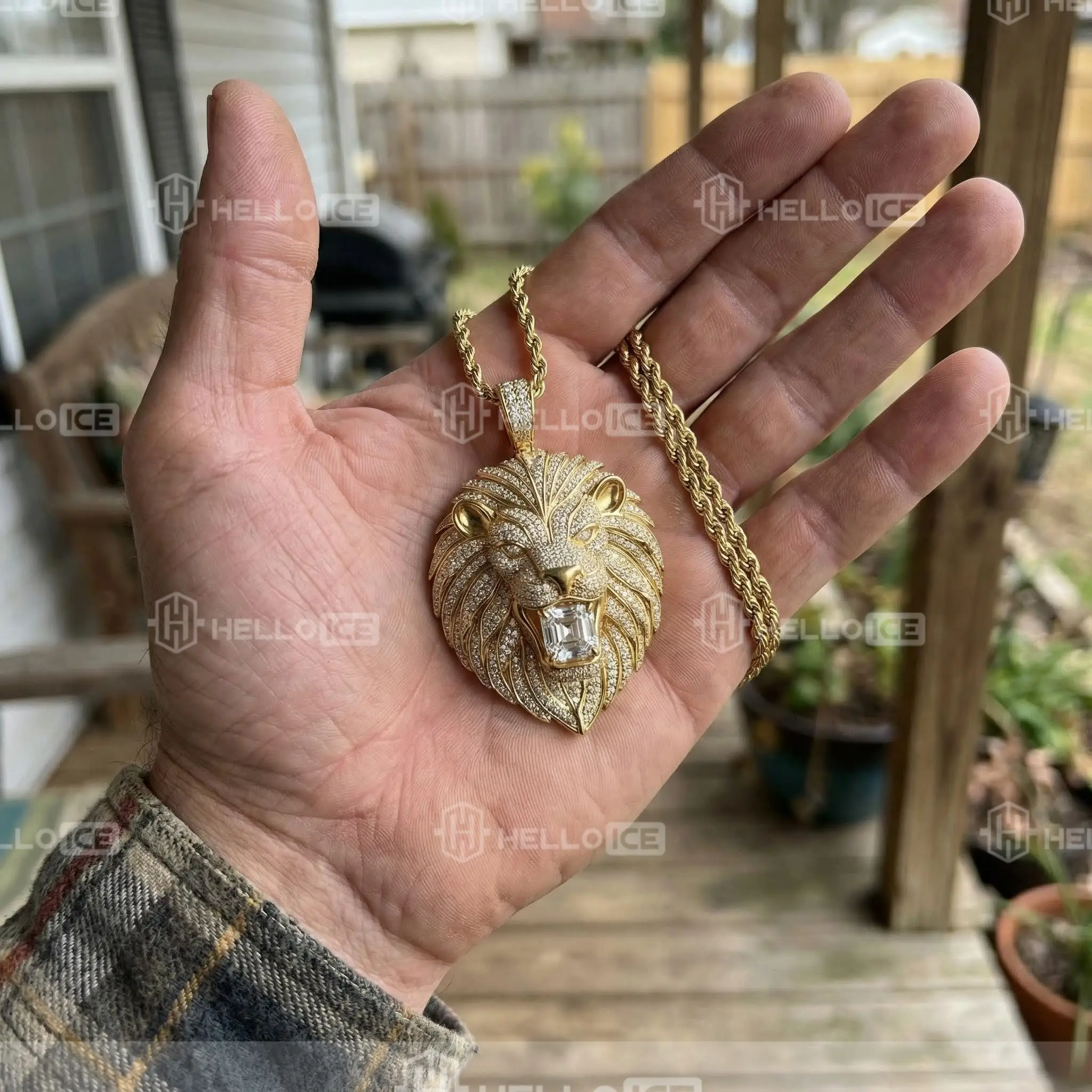 Helloice Review Image