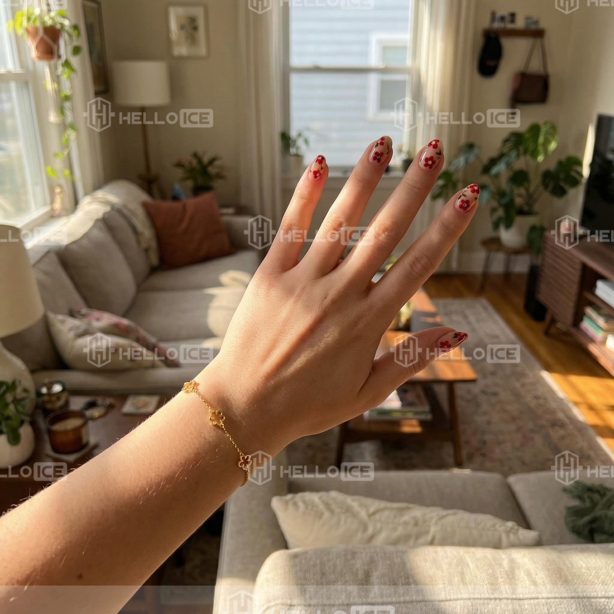 Helloice Review Image