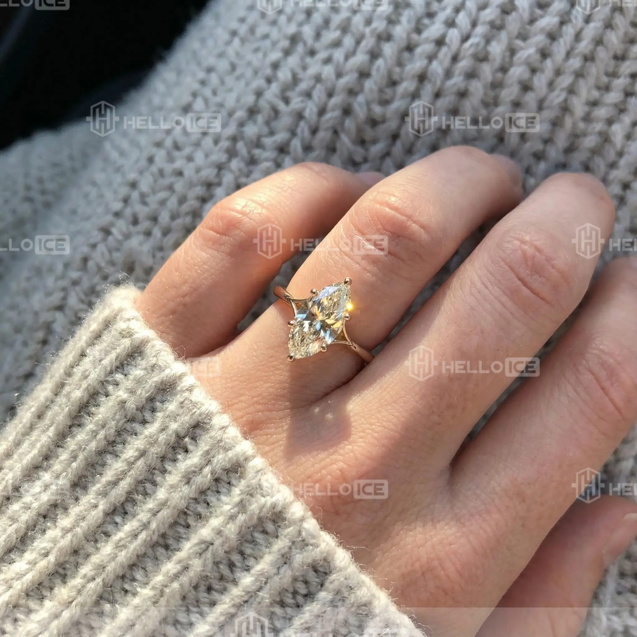 Helloice Review Image