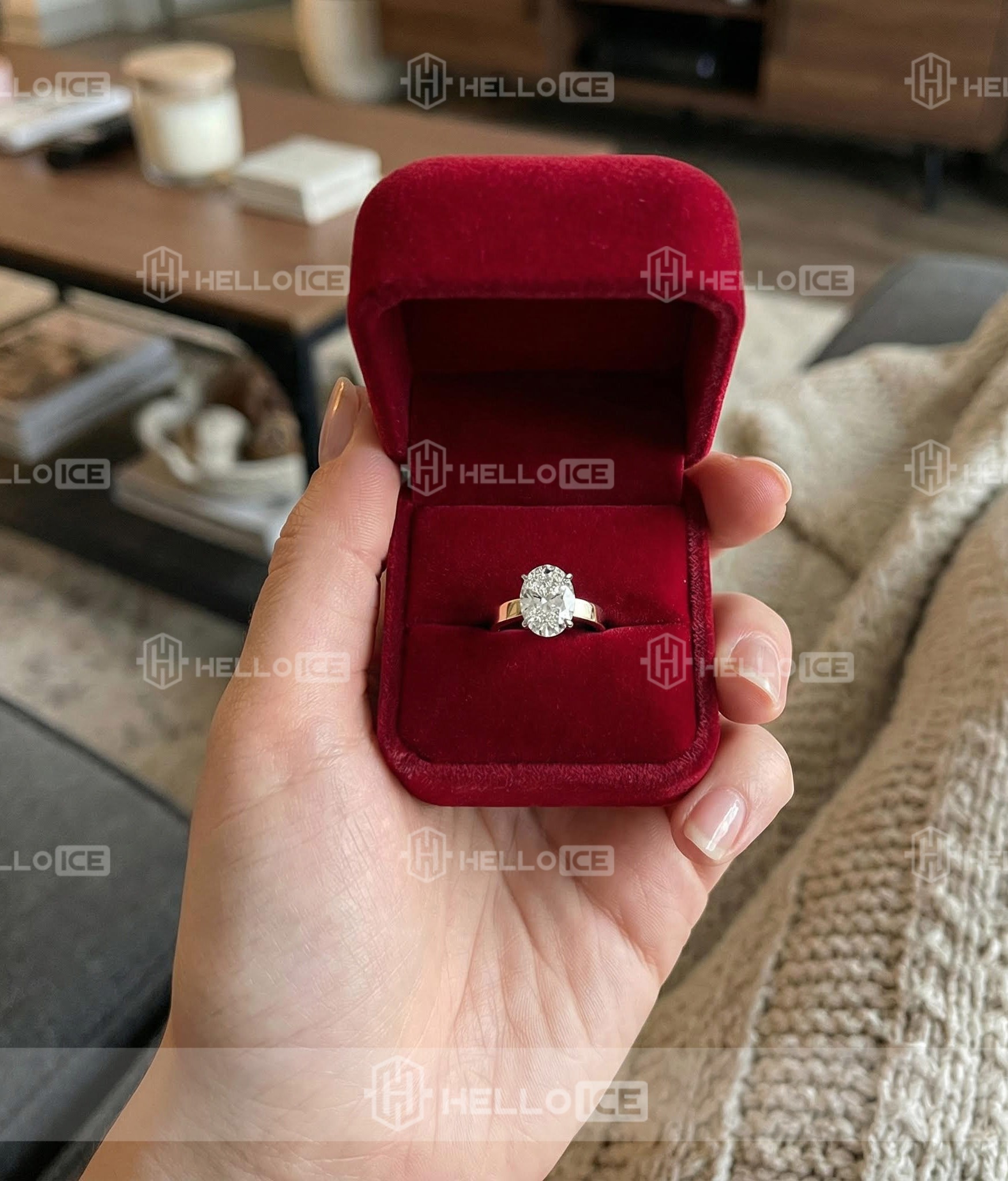 Helloice Review Image