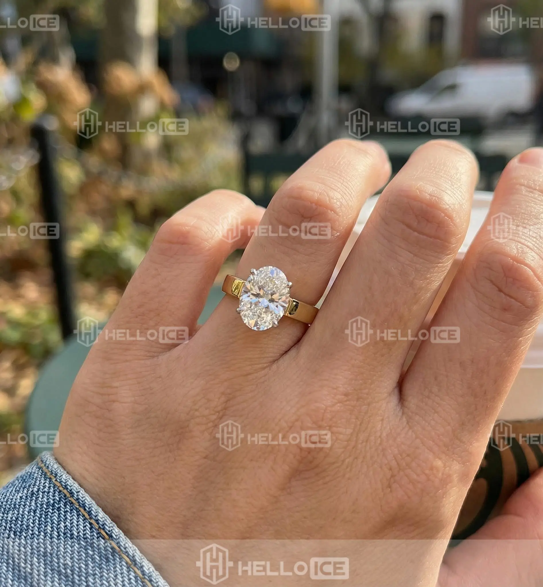 Helloice Review Image