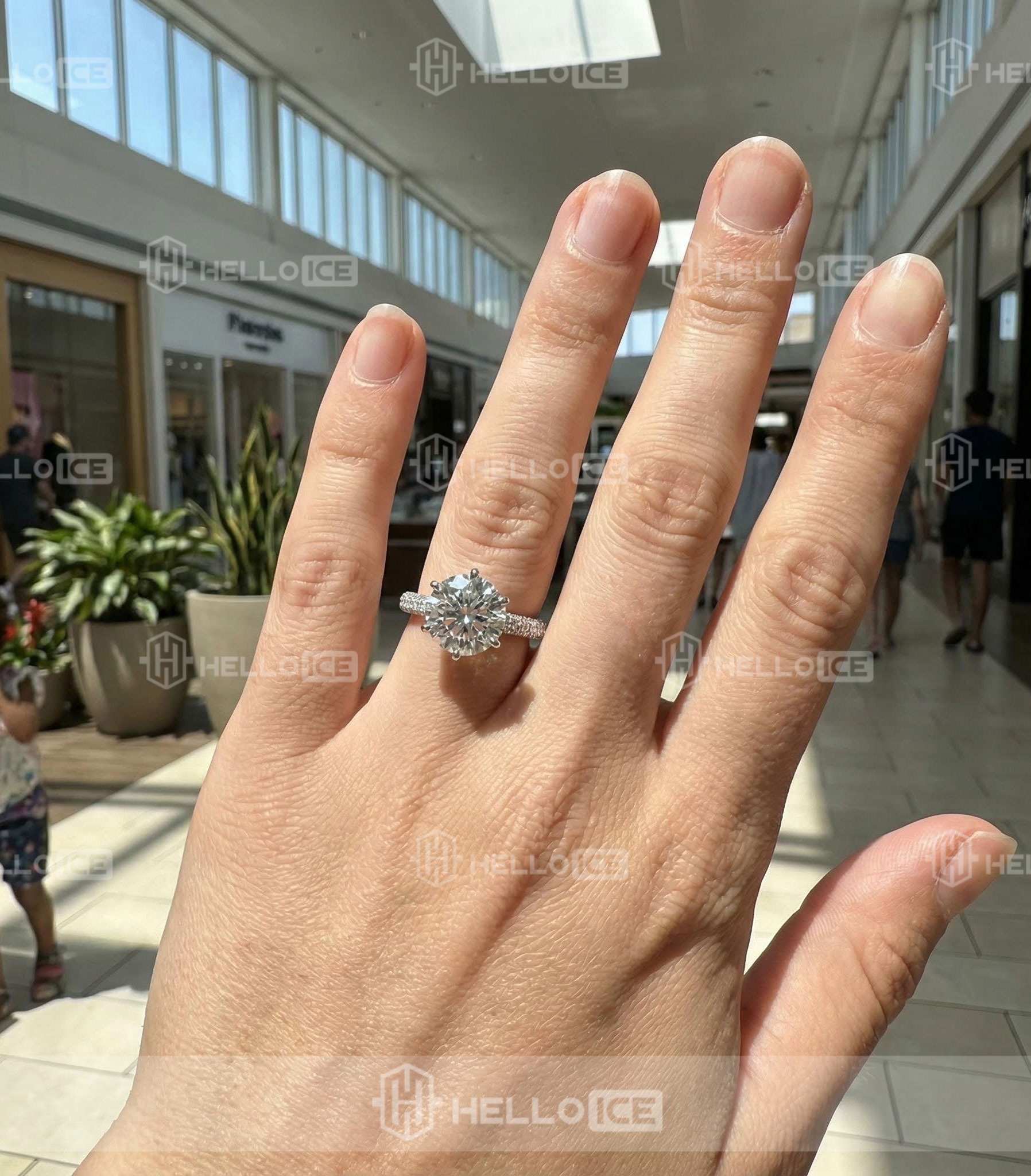 Helloice Review Image