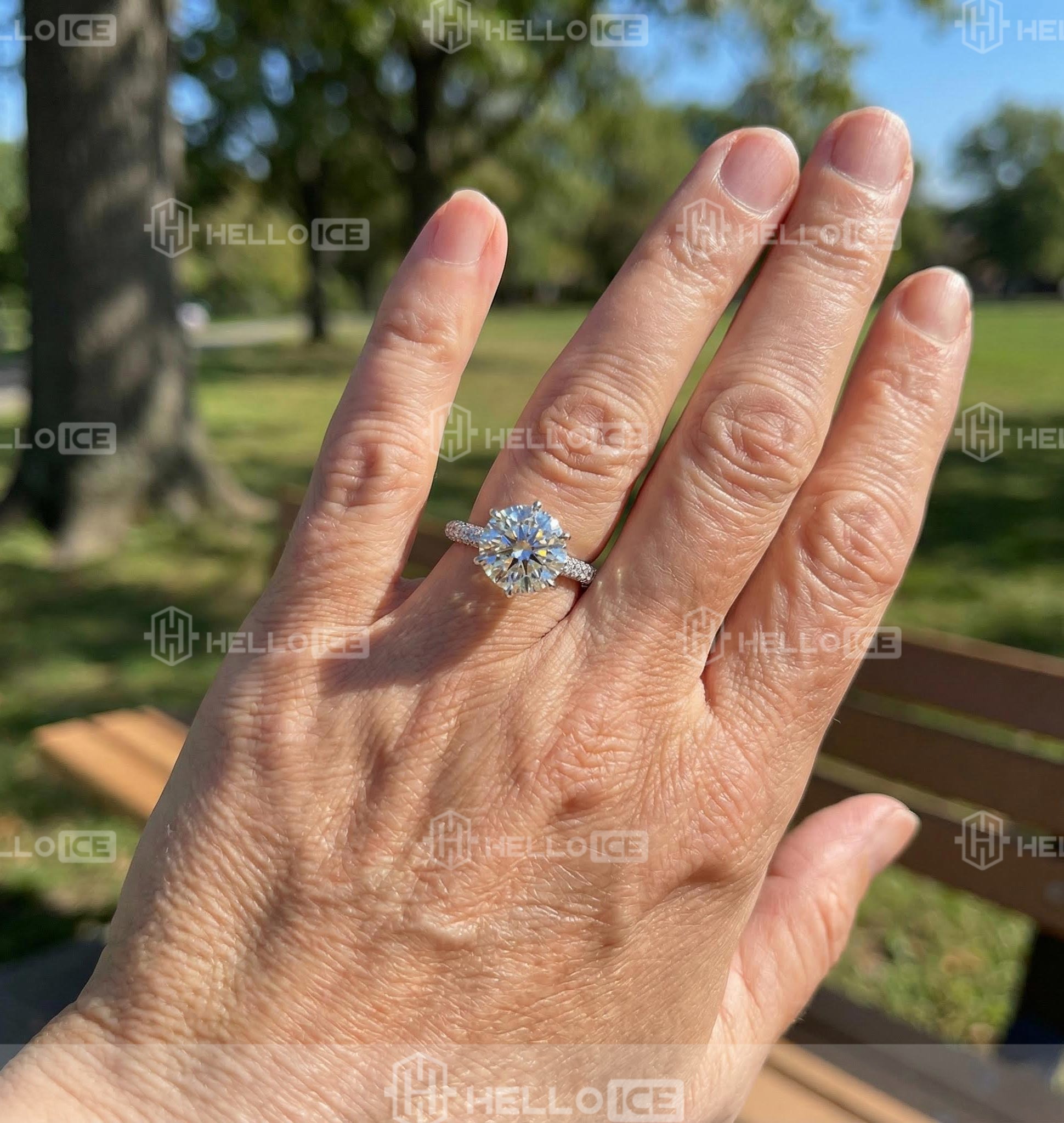 Helloice Review Image