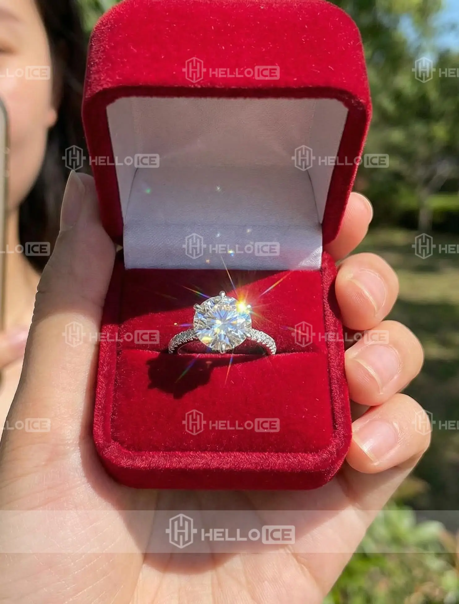 Helloice Review Image