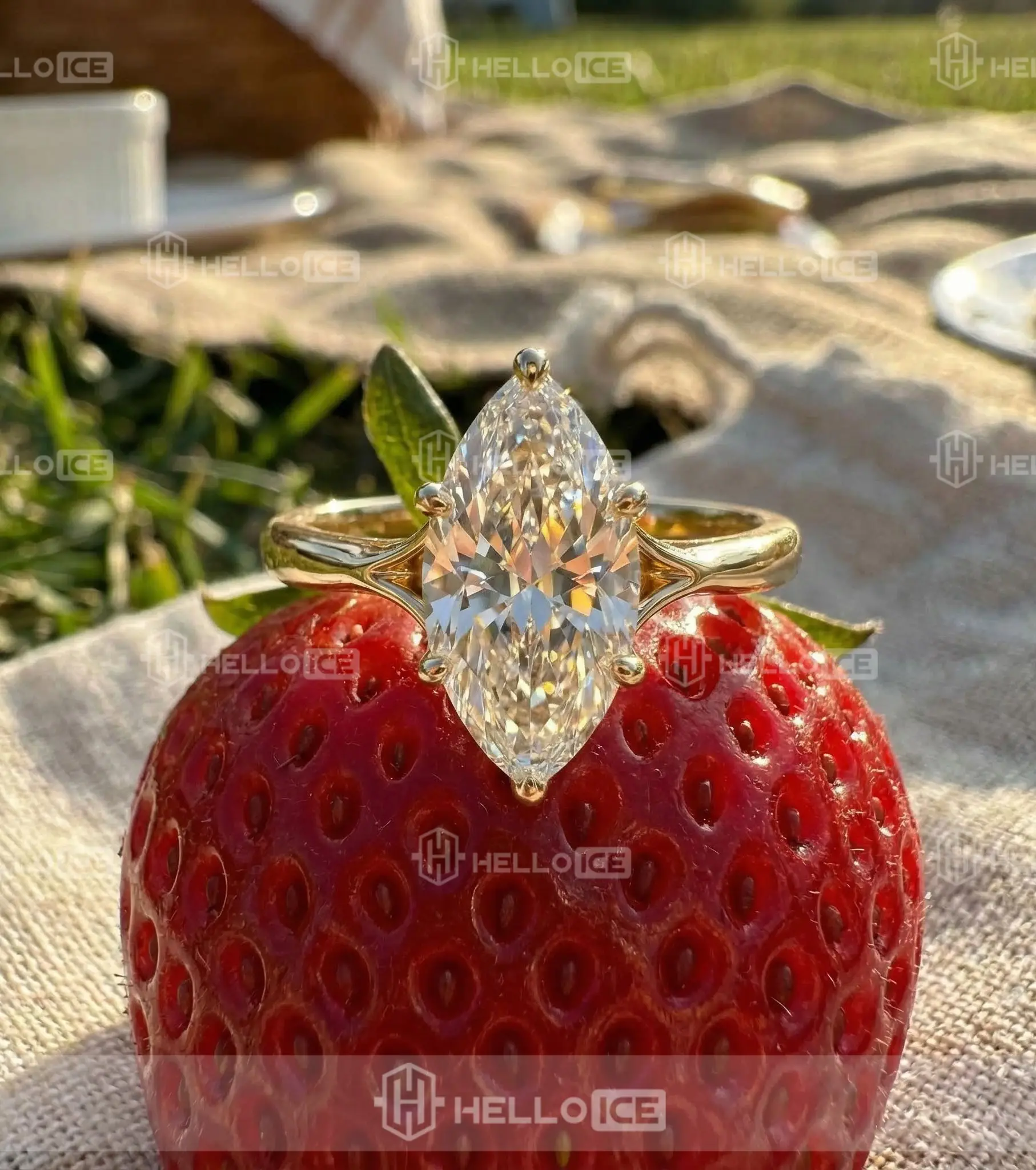 Helloice Review Image