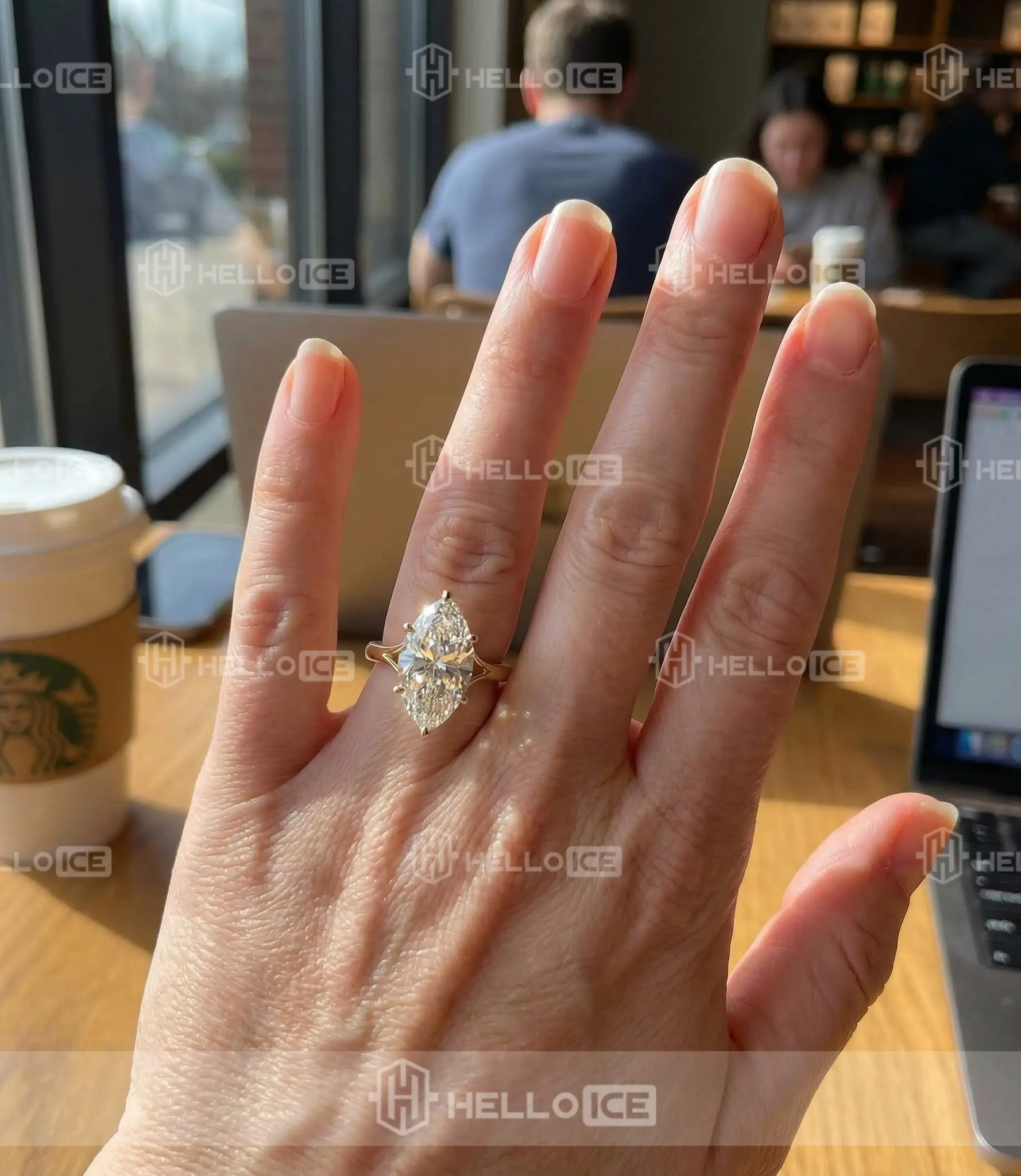 Helloice Review Image