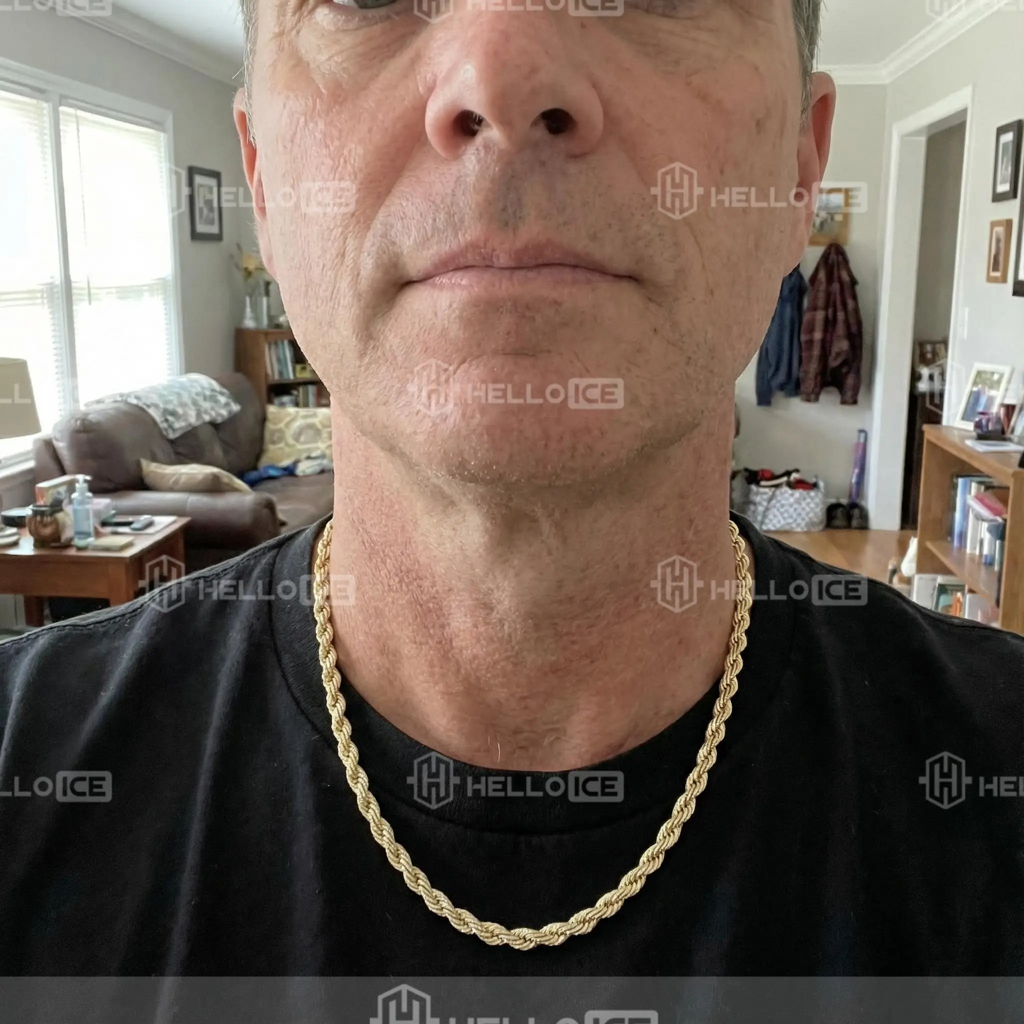 Helloice Review Image