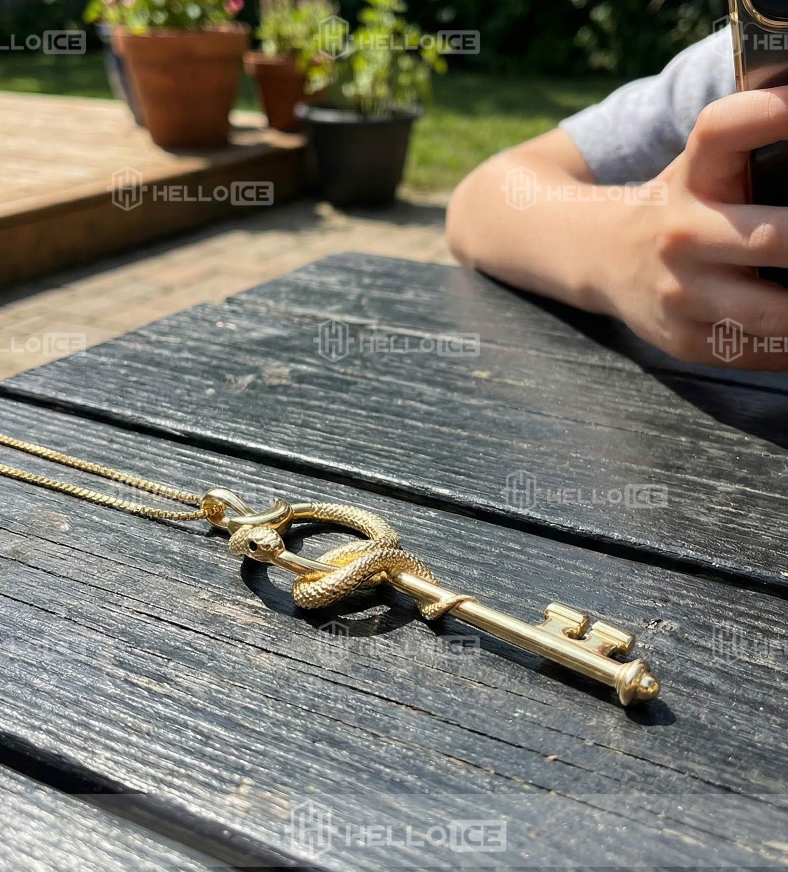 Helloice Review Image