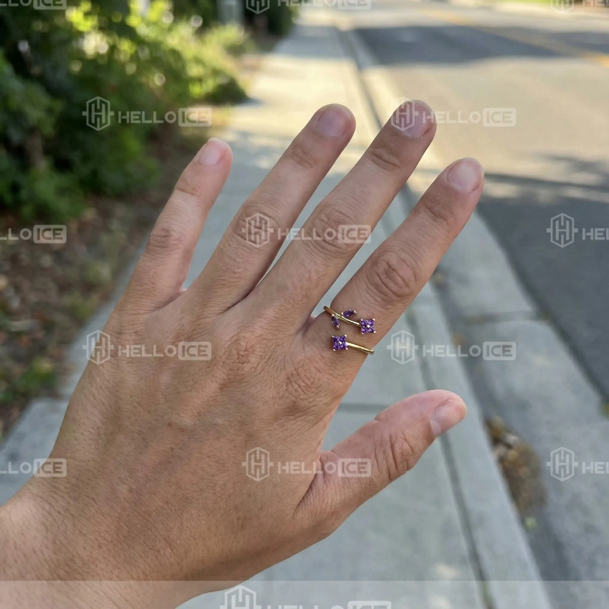 Helloice Review Image