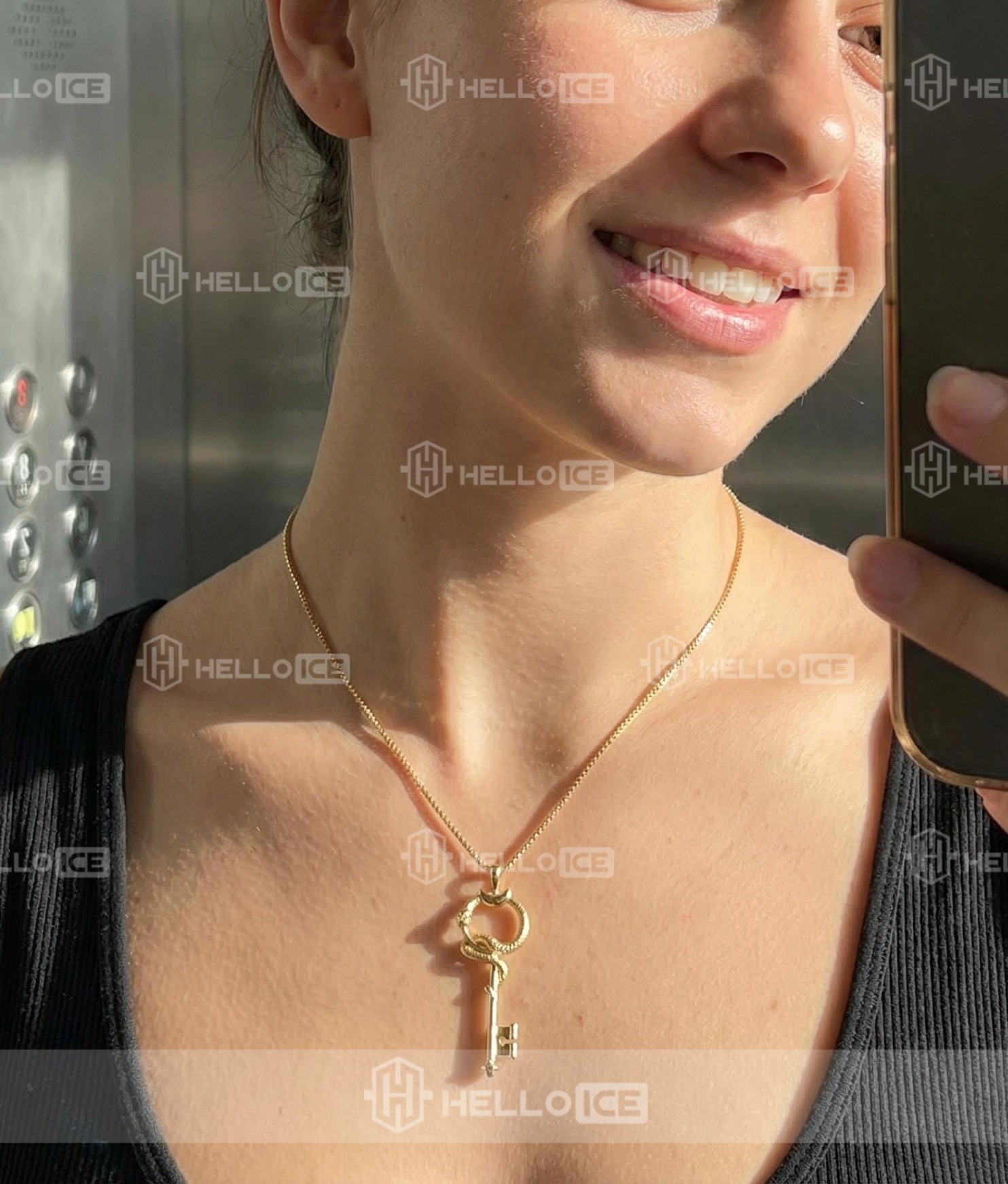 Helloice Review Image