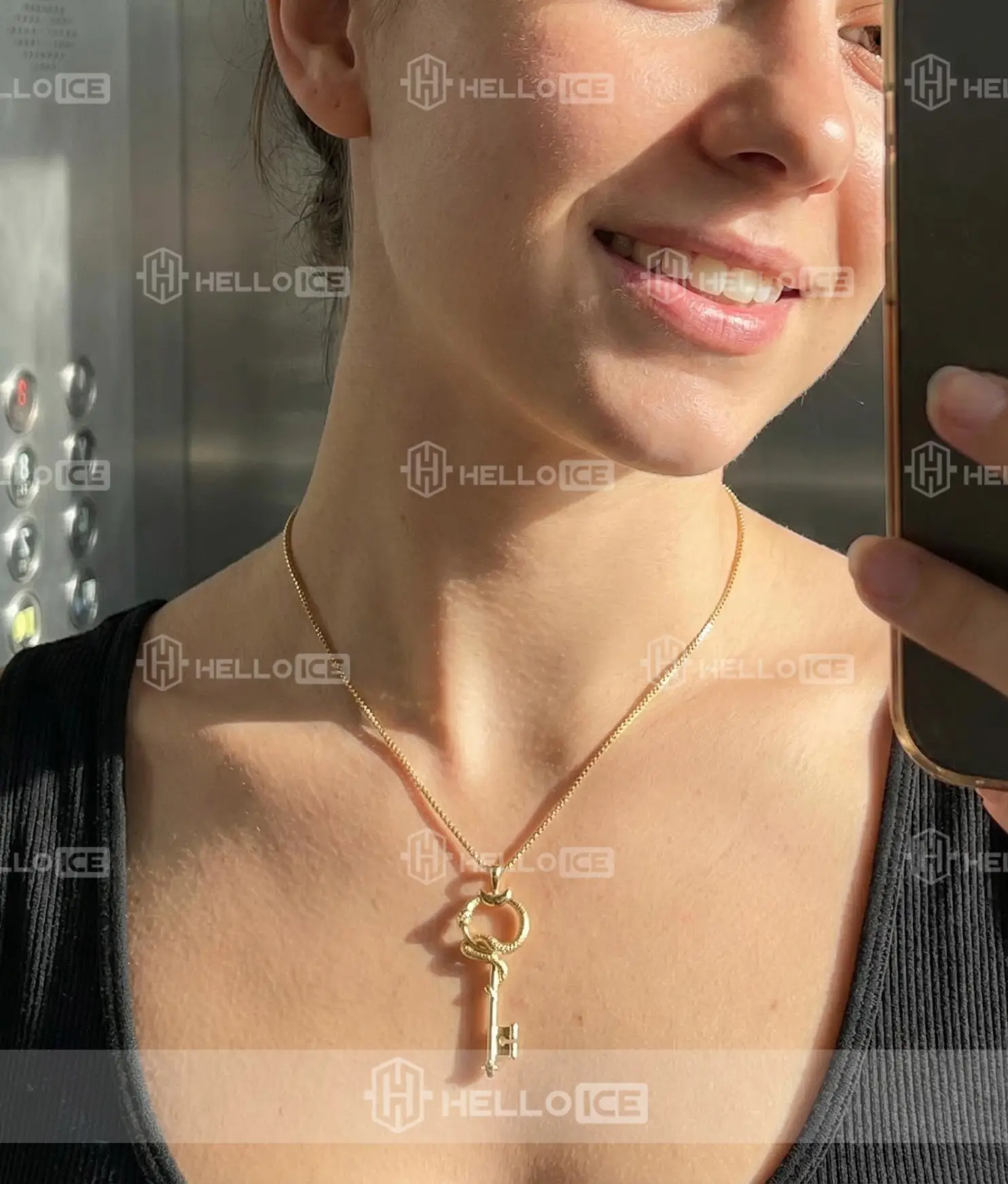 Helloice Review Image