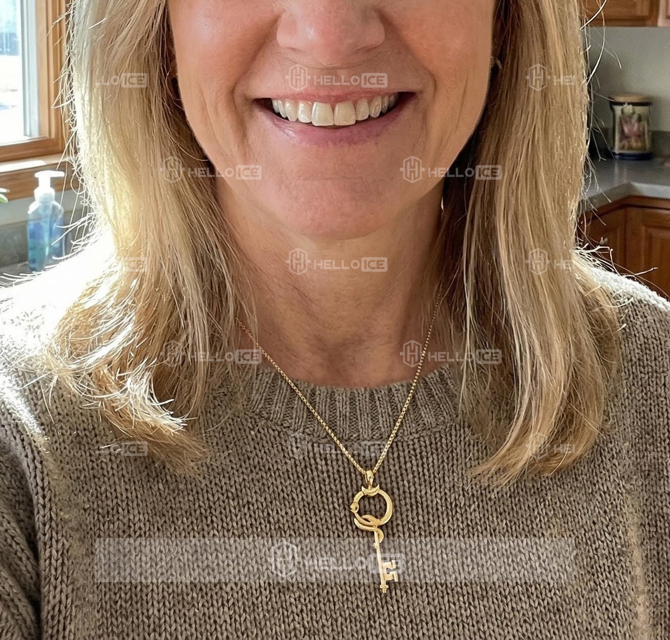 Helloice Review Image