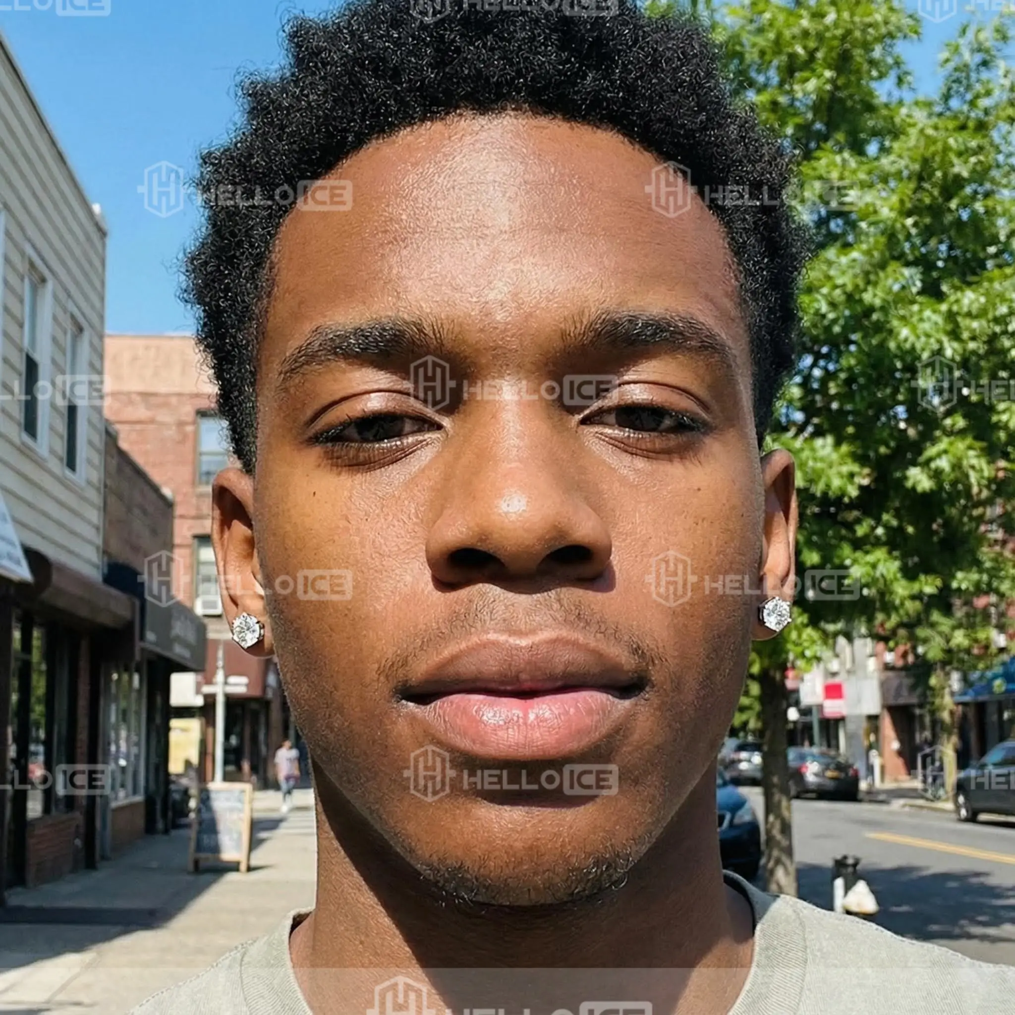 Helloice Review Image