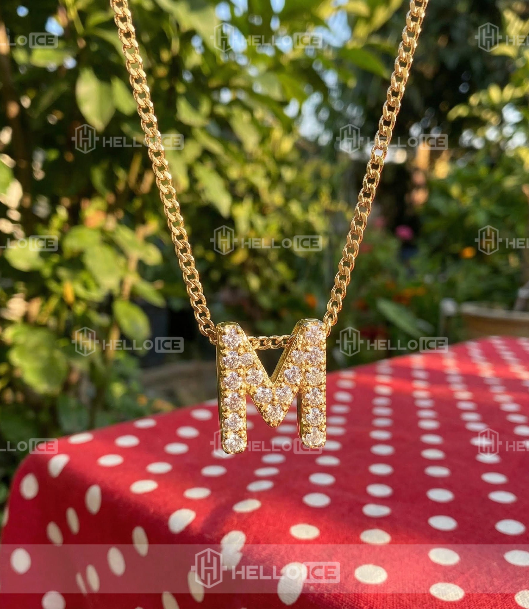 Helloice Review Image