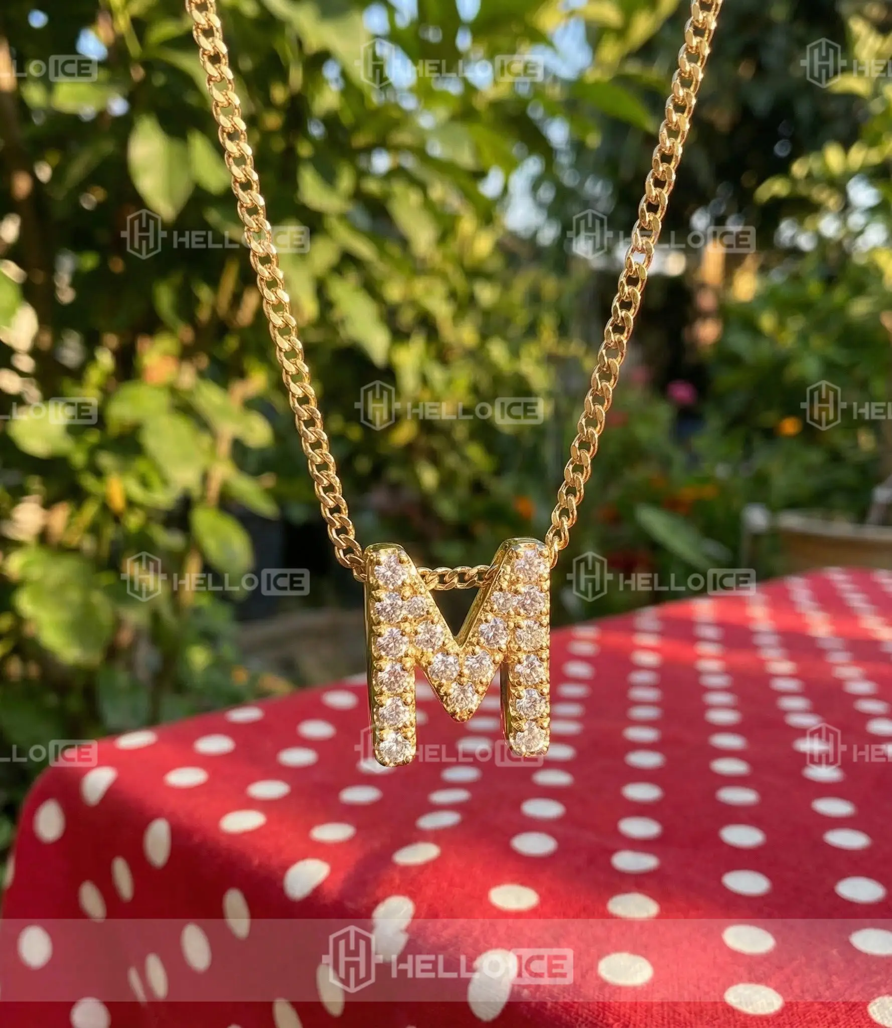 Helloice Review Image