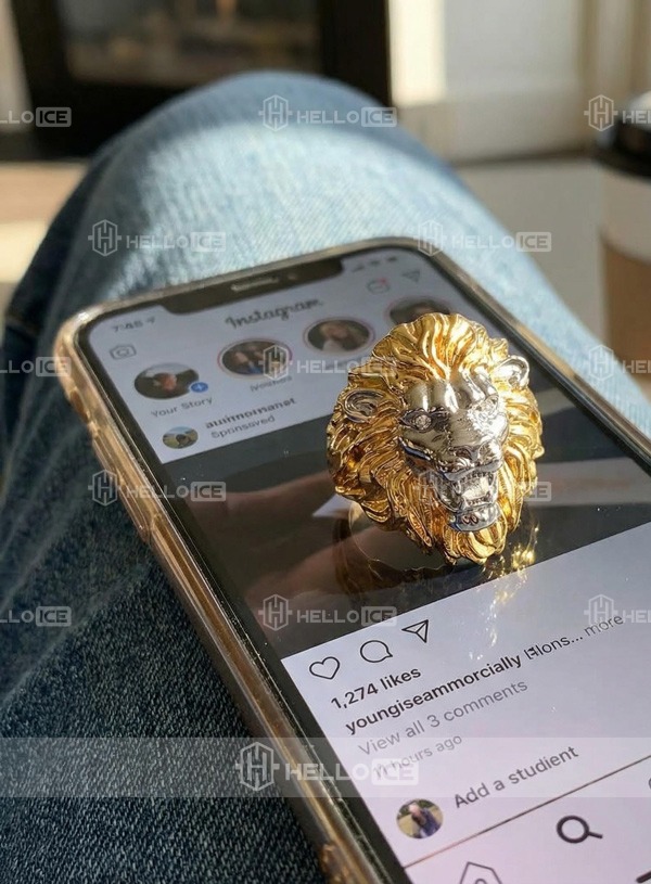 Helloice Review Image