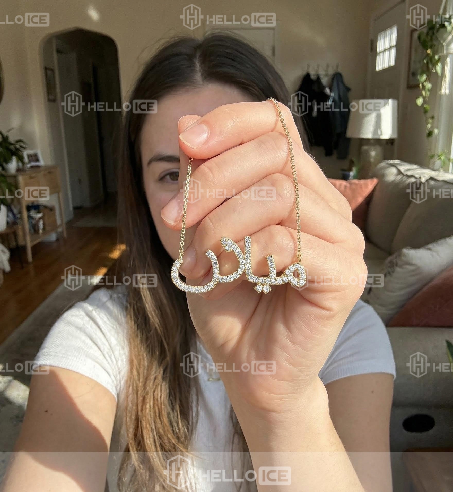 Helloice Review Image