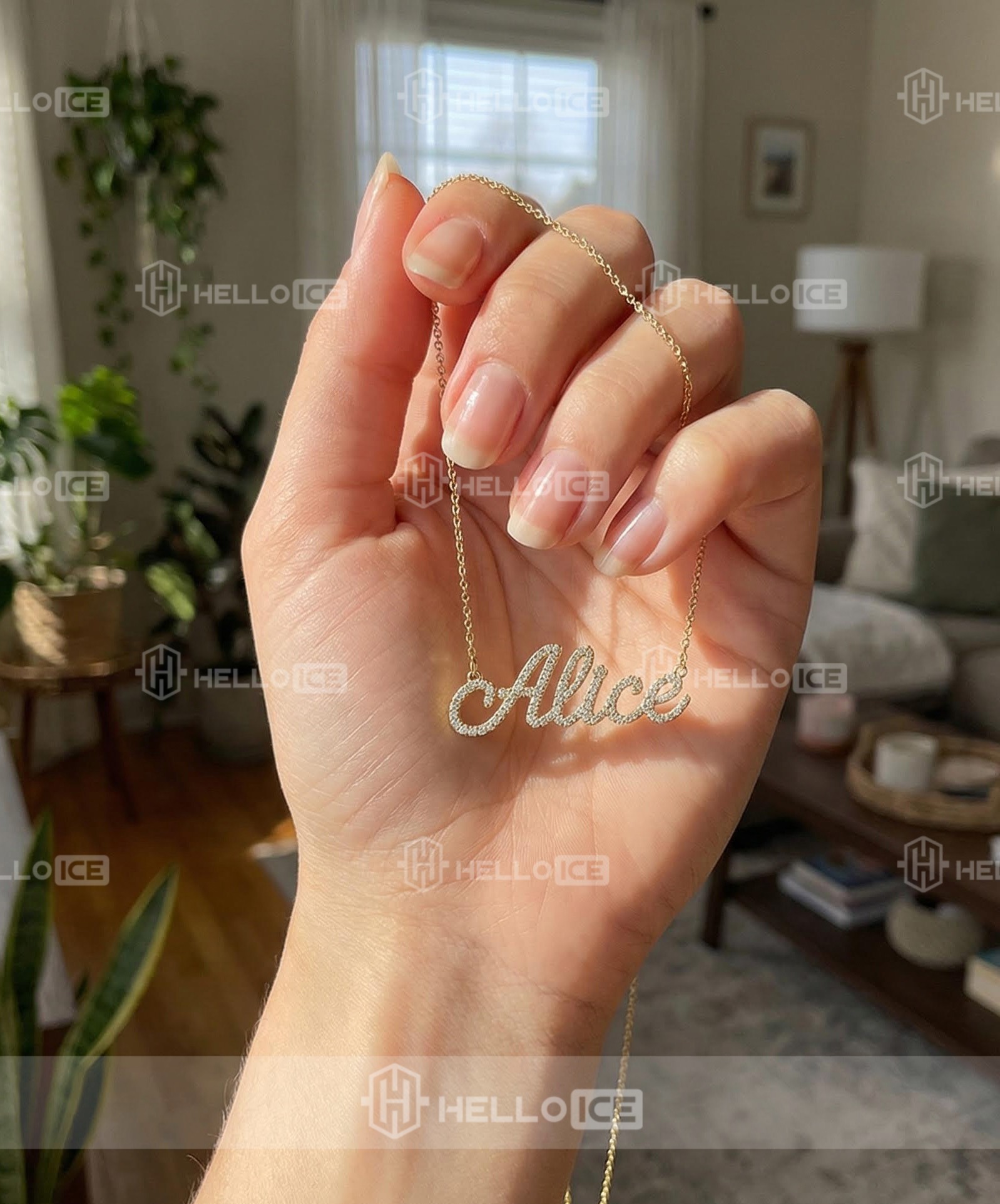 Helloice Review Image