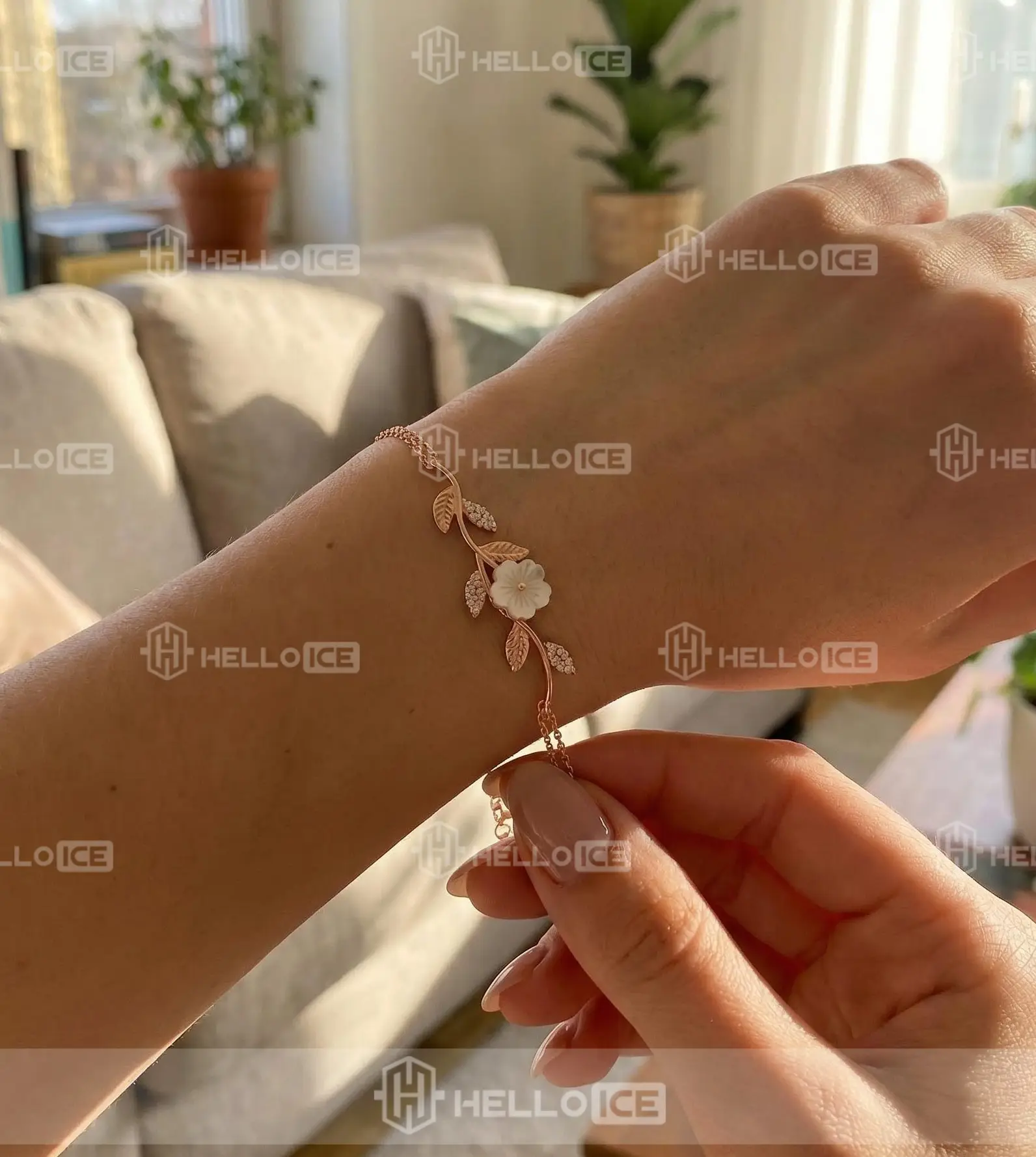 Helloice Review Image