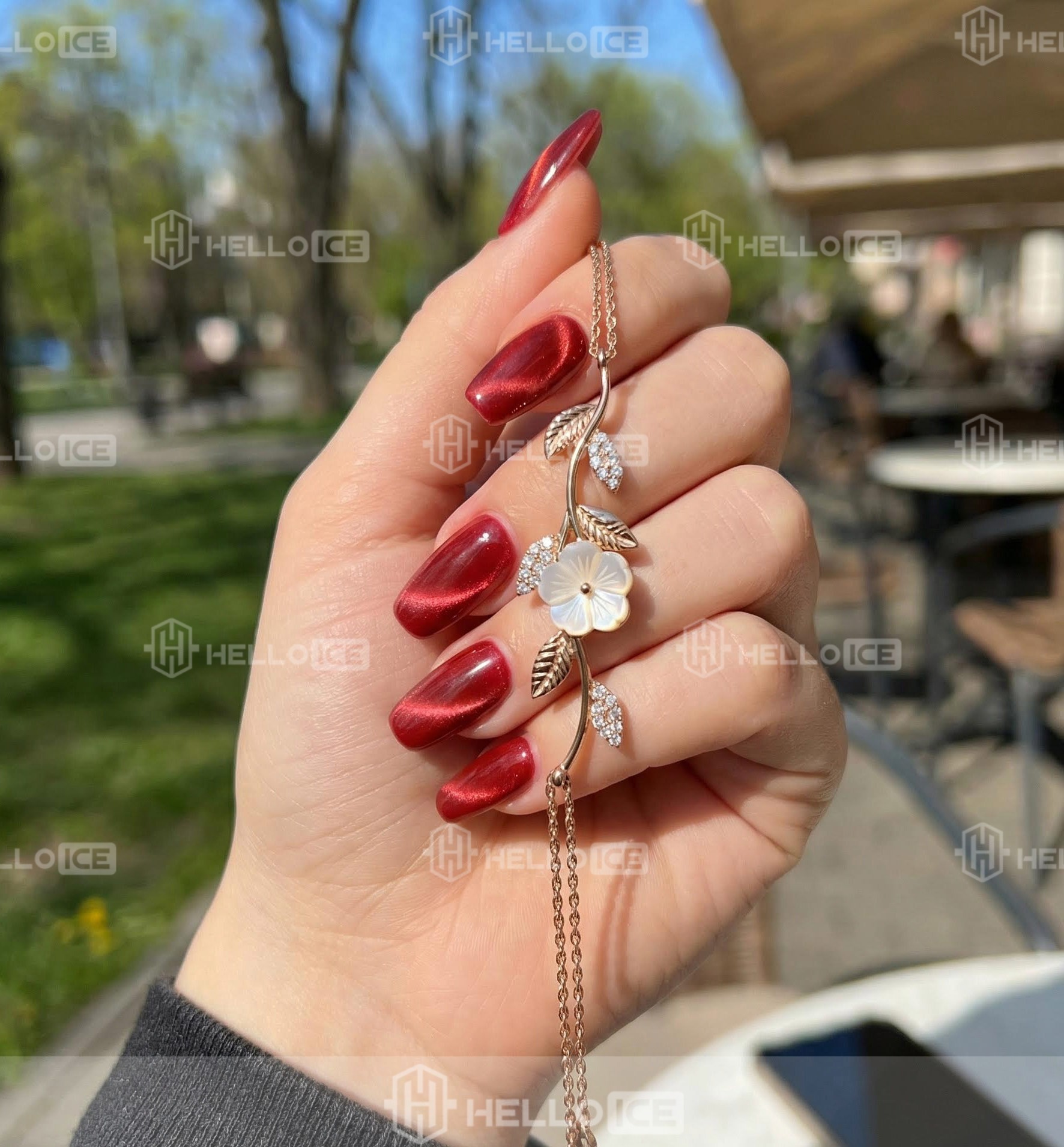 Helloice Review Image