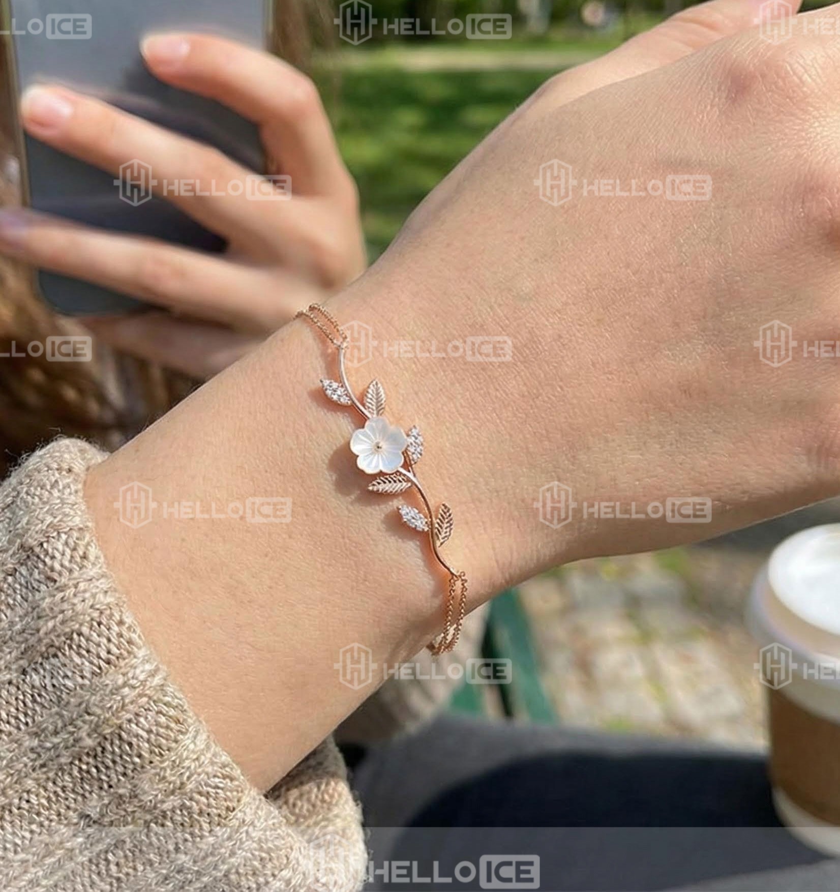 Helloice Review Image