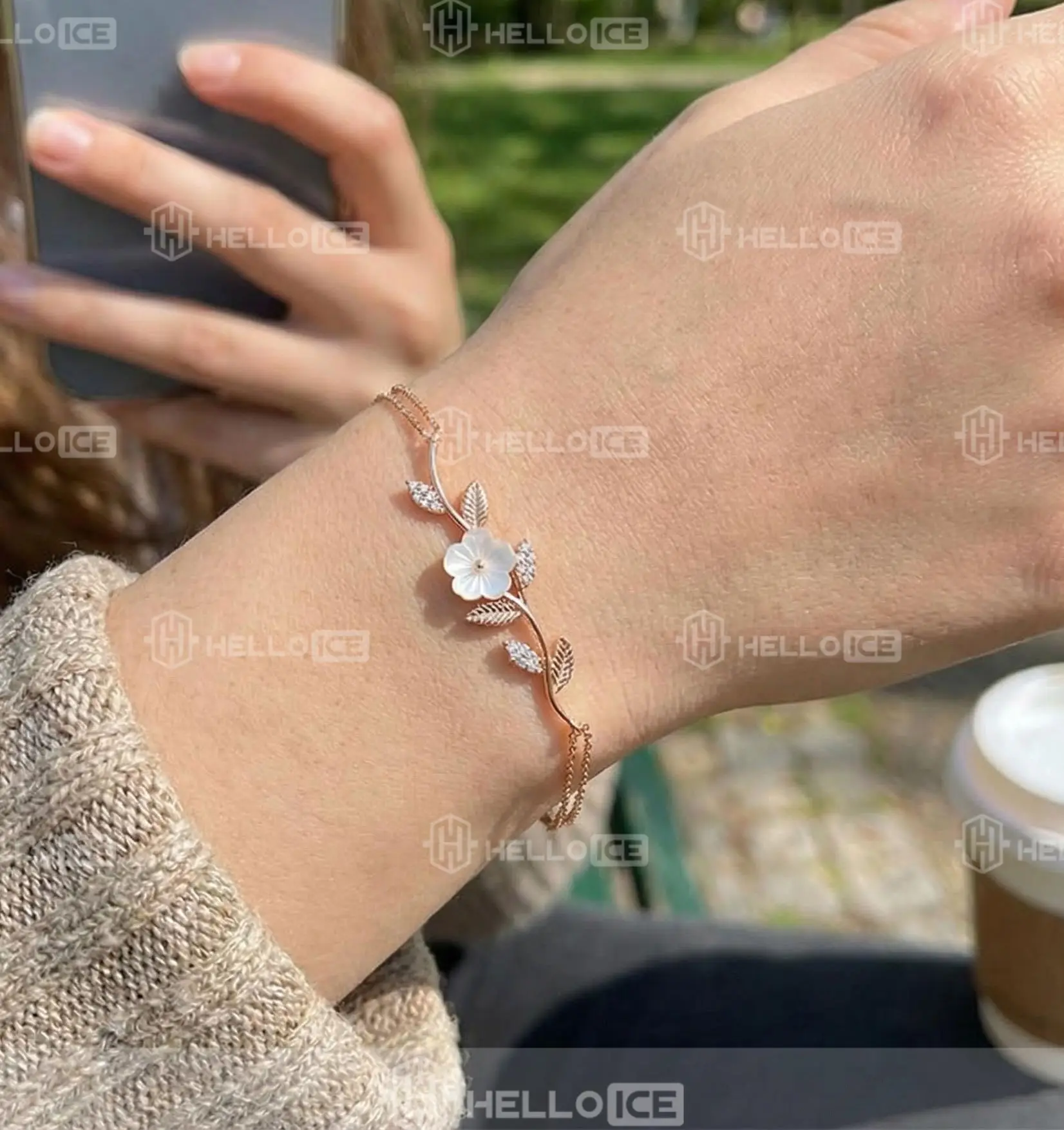 Helloice Review Image