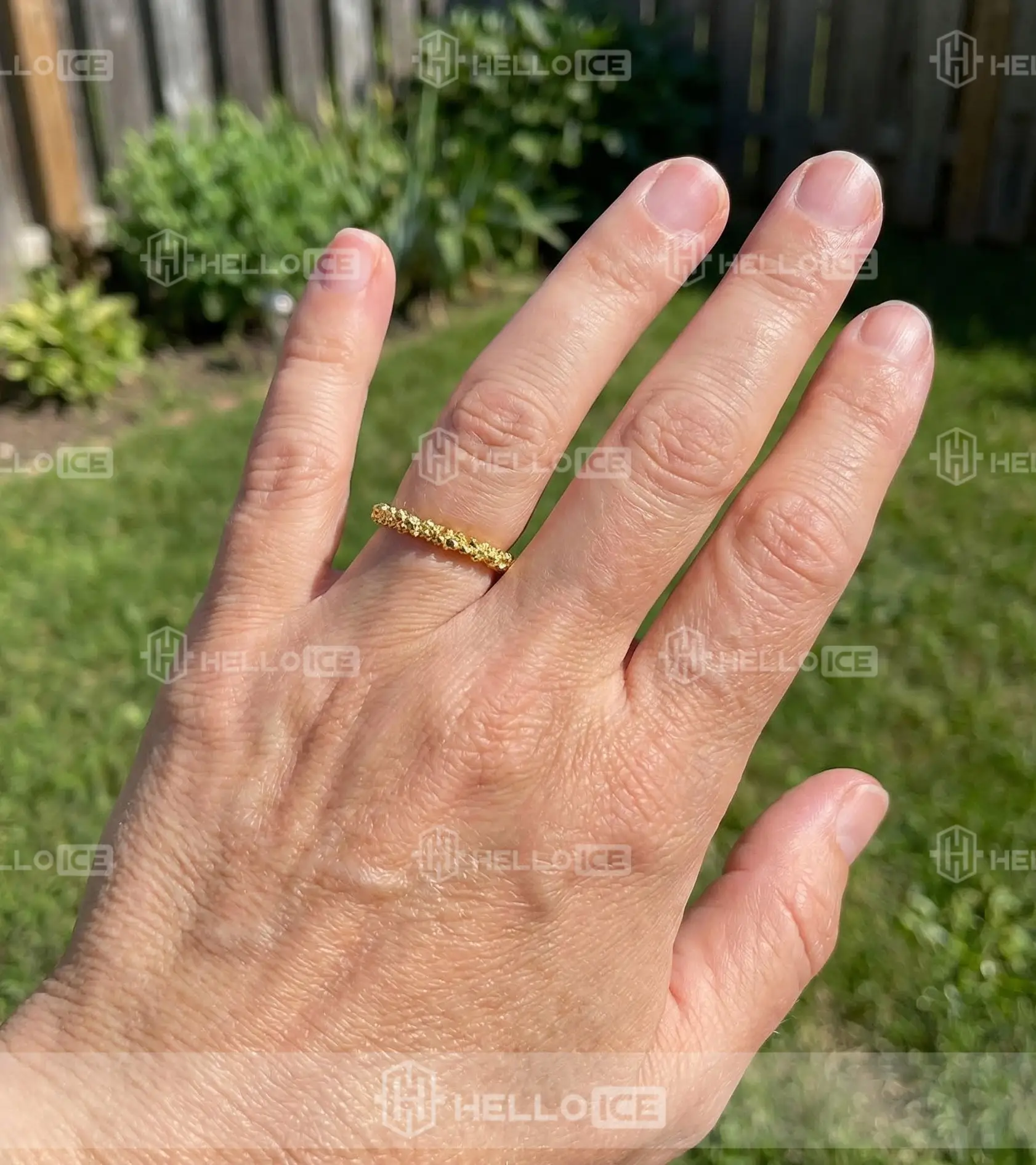 Helloice Review Image