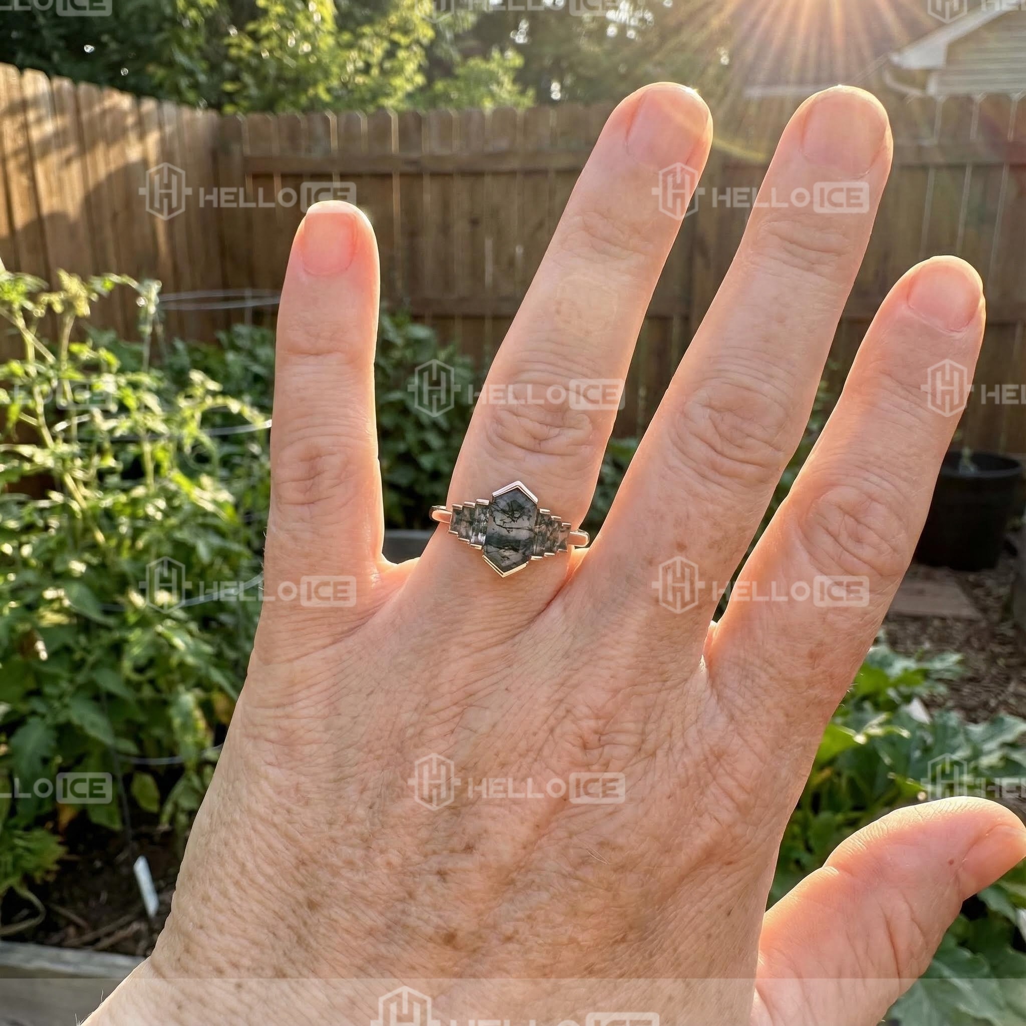 Helloice Review Image