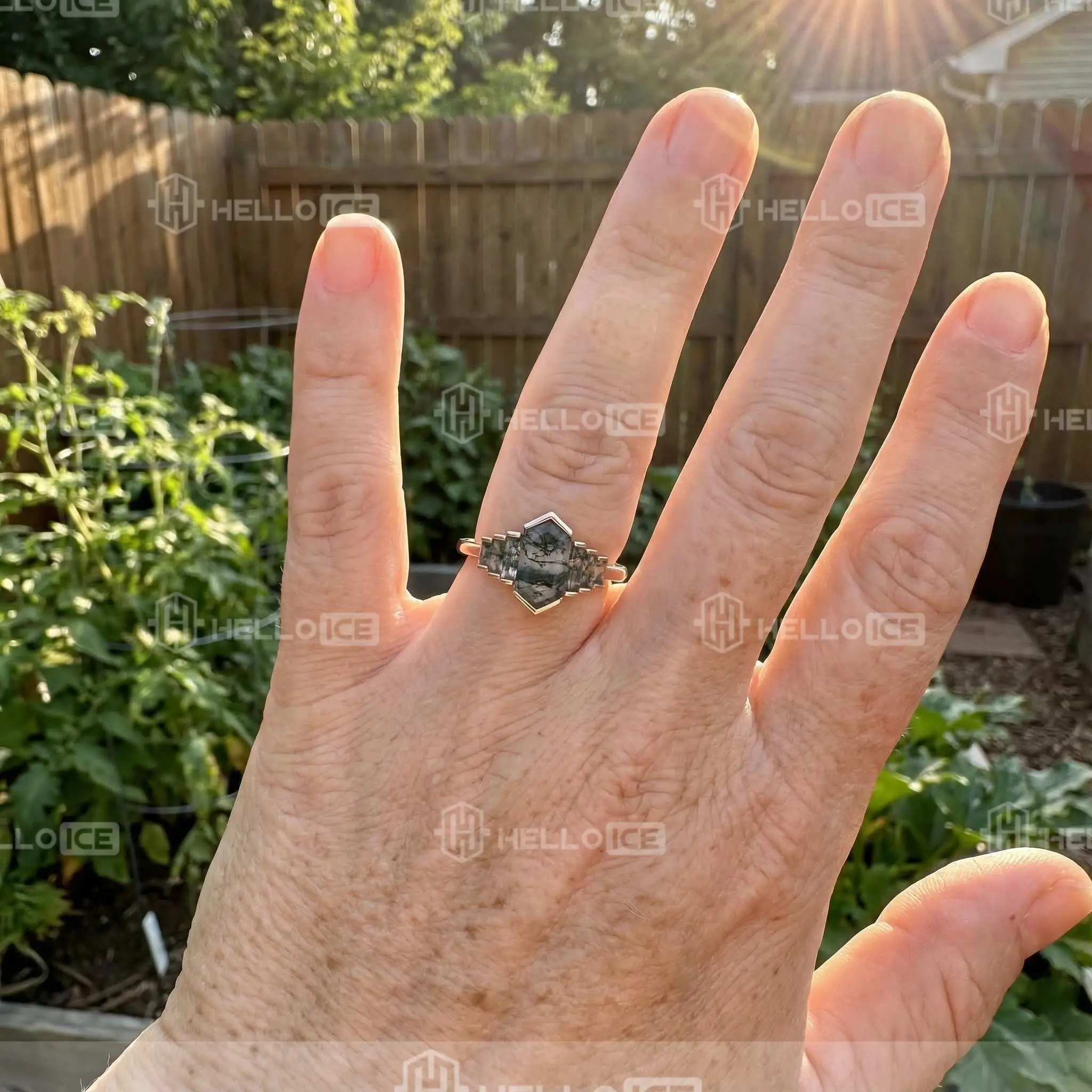 Helloice Review Image