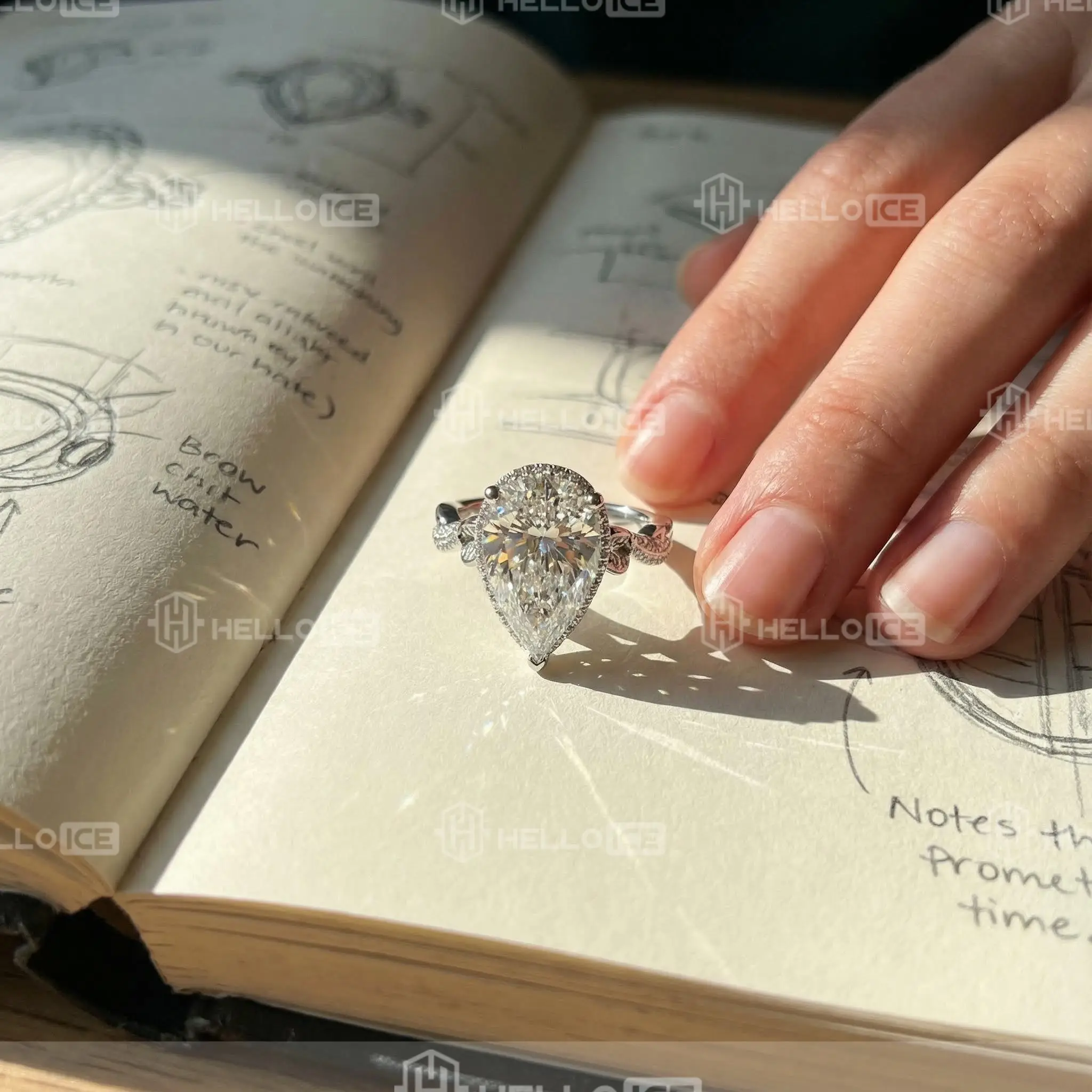 Helloice Review Image