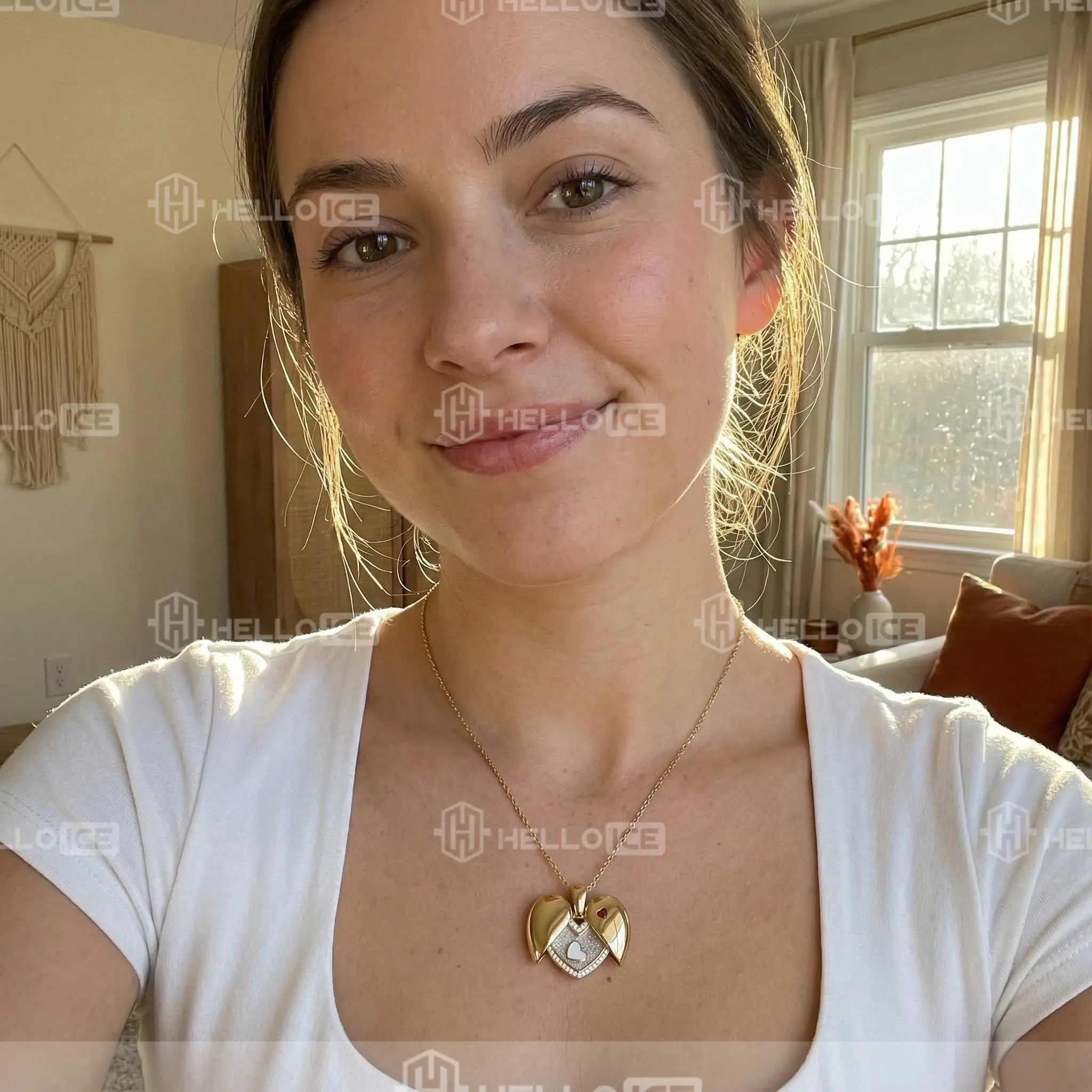 Helloice Review Image