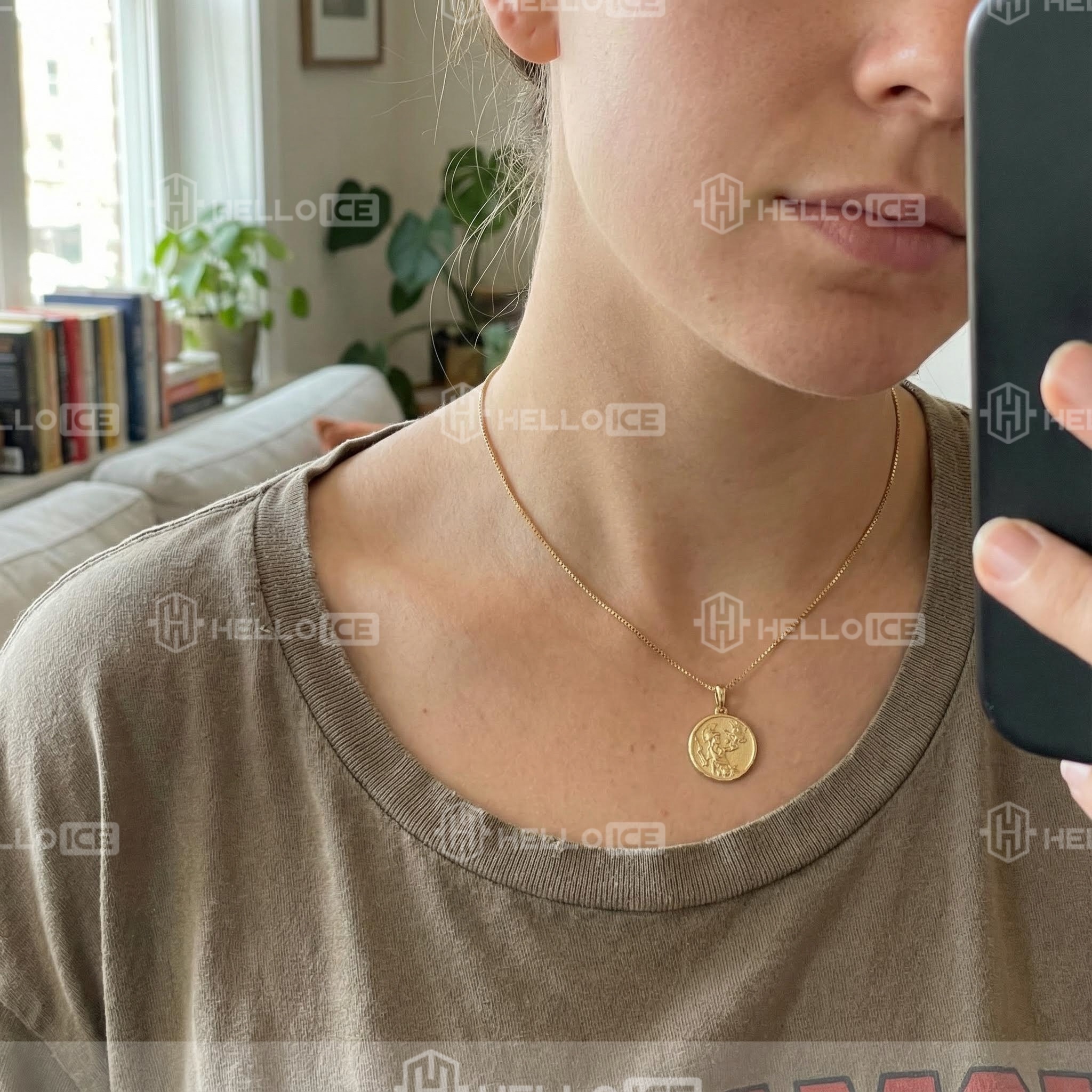 Helloice Review Image