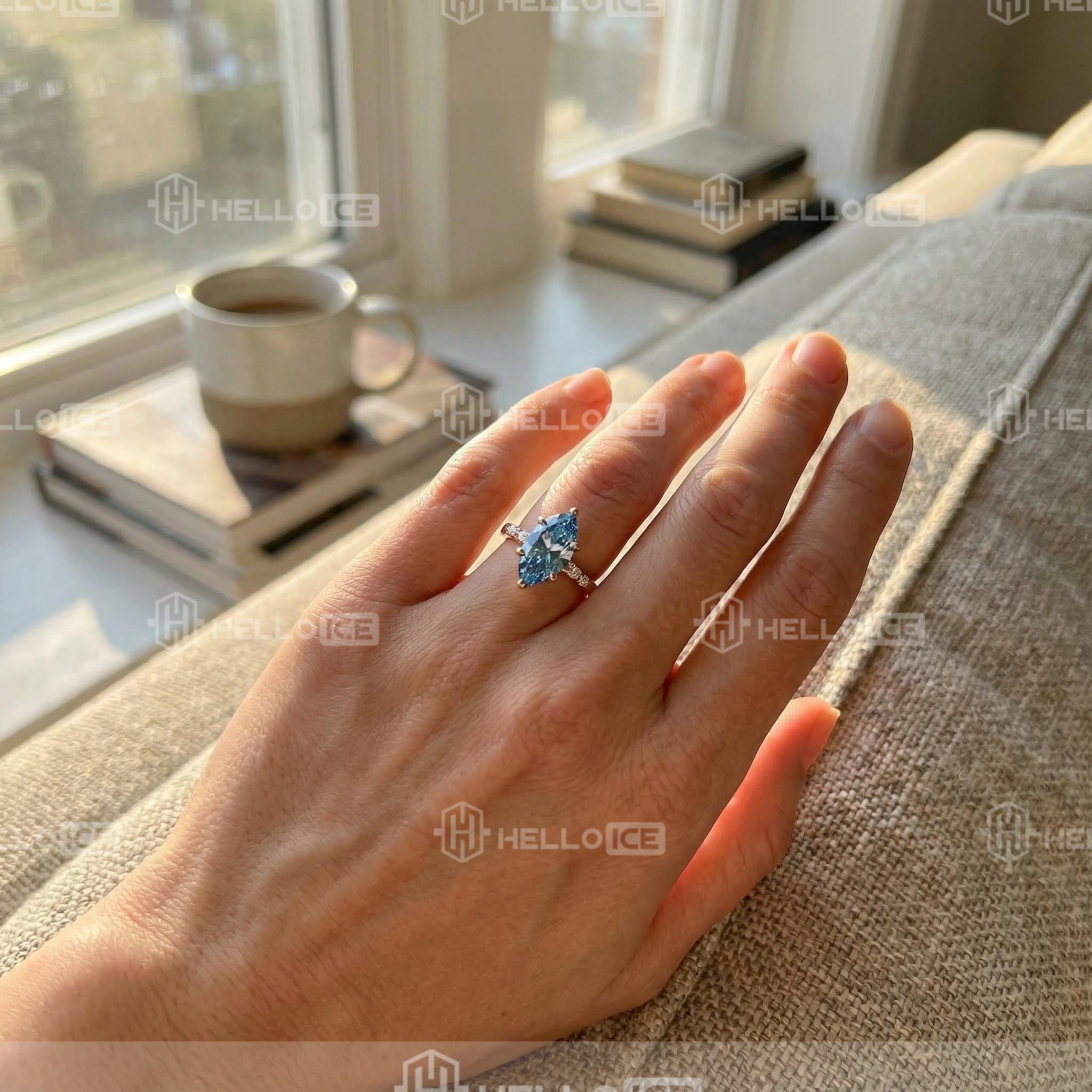 Helloice Review Image