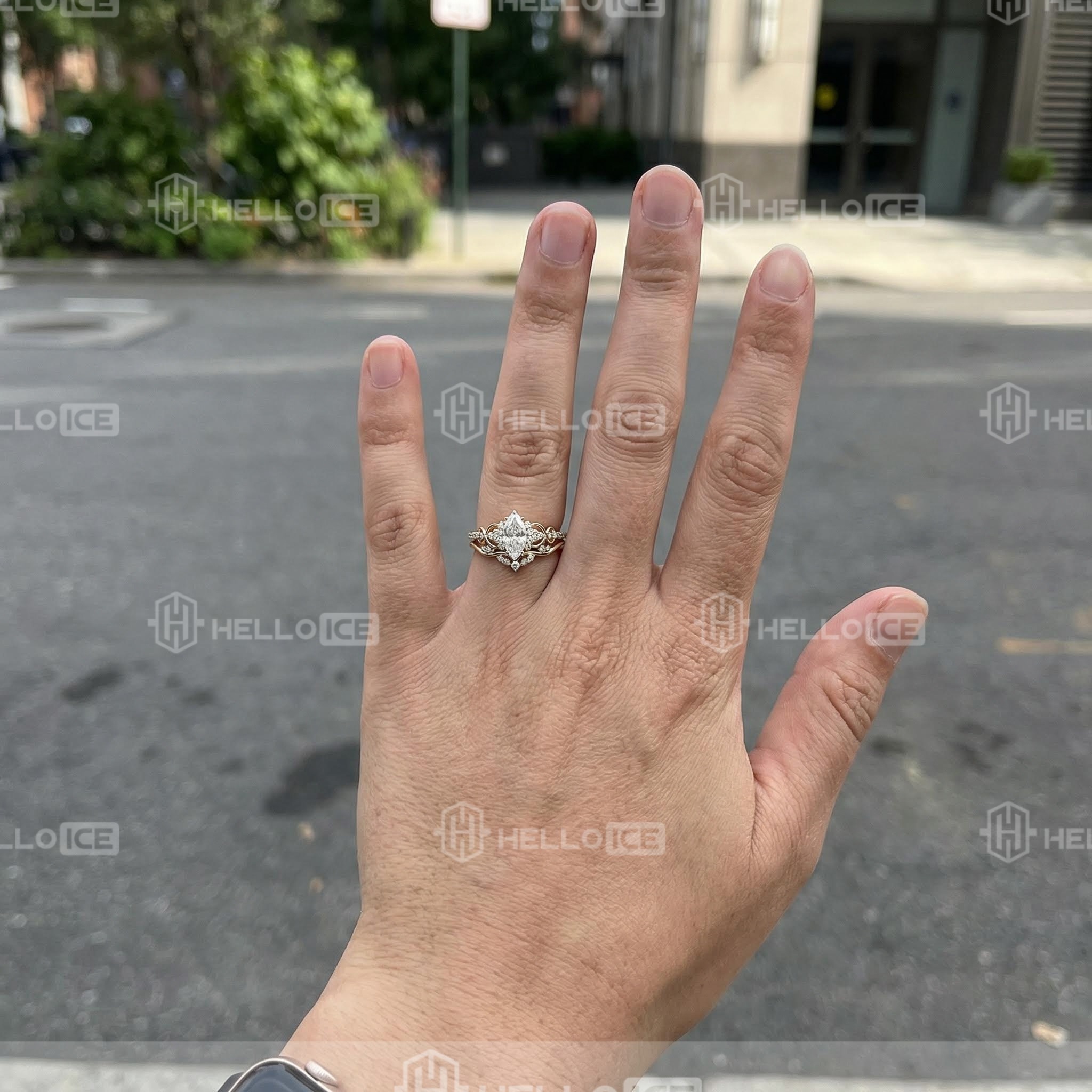 Helloice Review Image